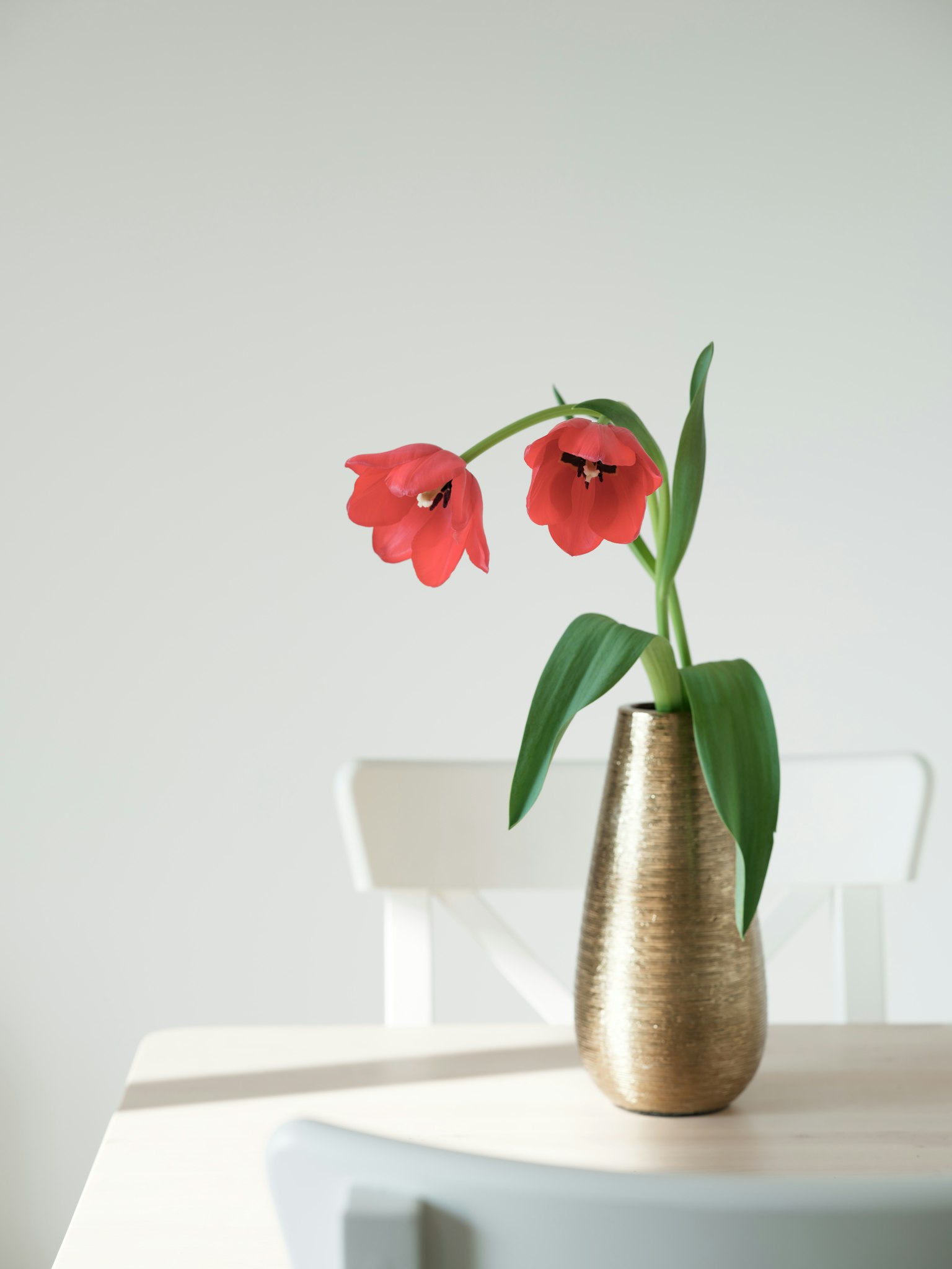 Ein einfaches Interieur mit einer Vase mit roten Blumen auf einem Tisch