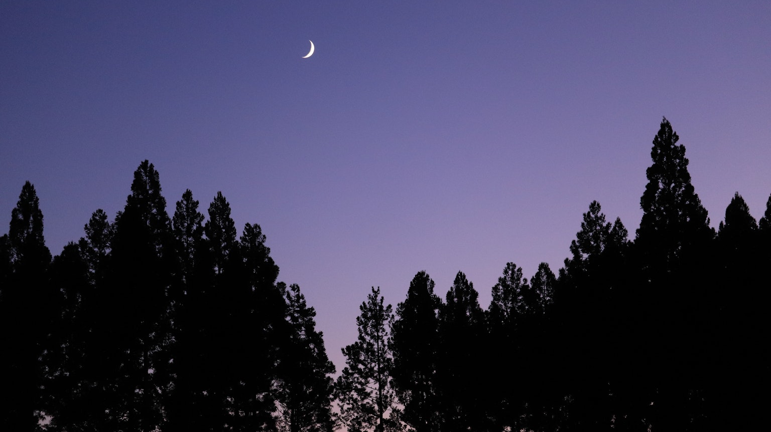 Luna crescente in un cielo crepuscolare con alberi in silhouette