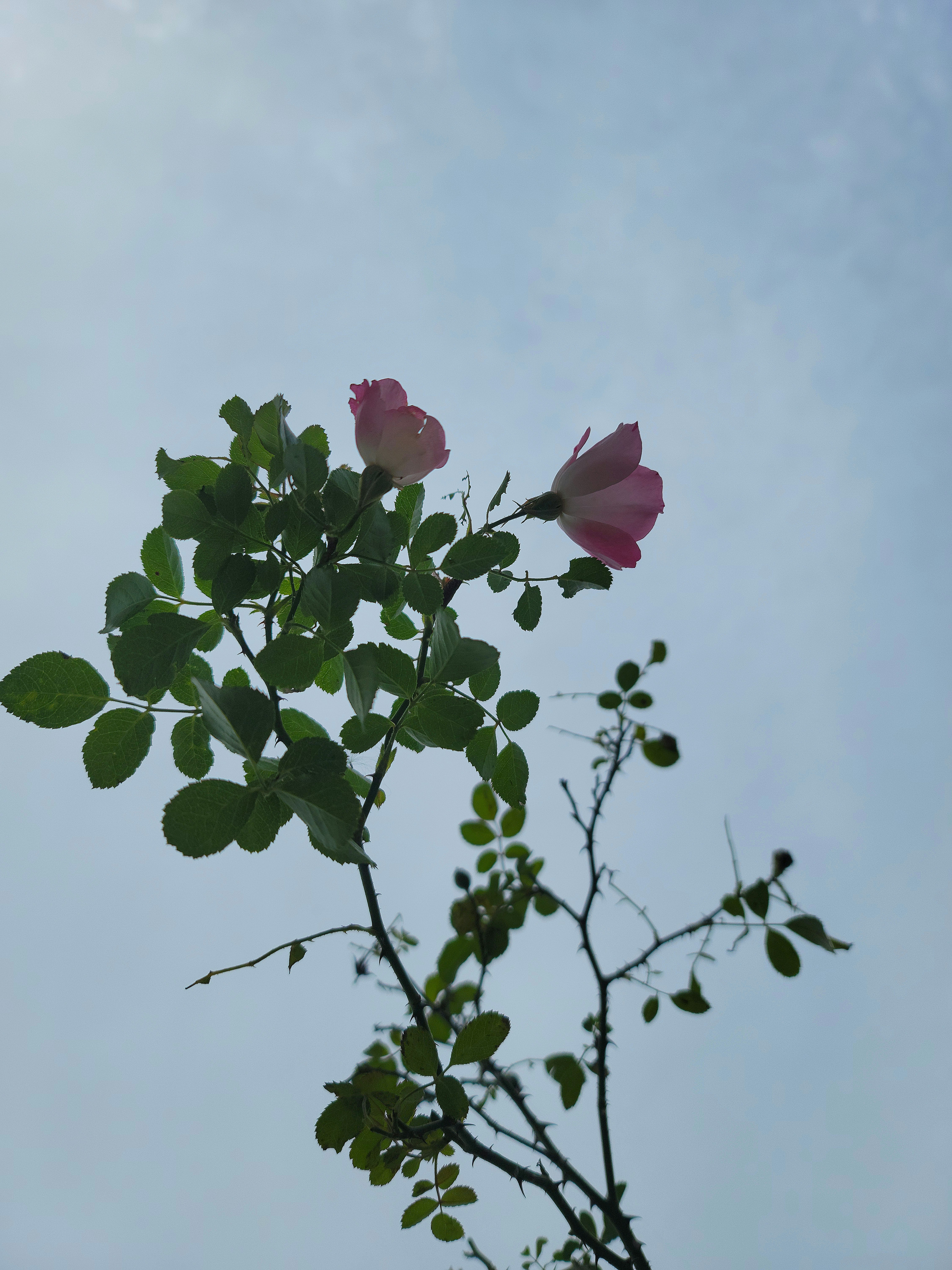 photo-HdDXRB13bB9kICohJxnr-image