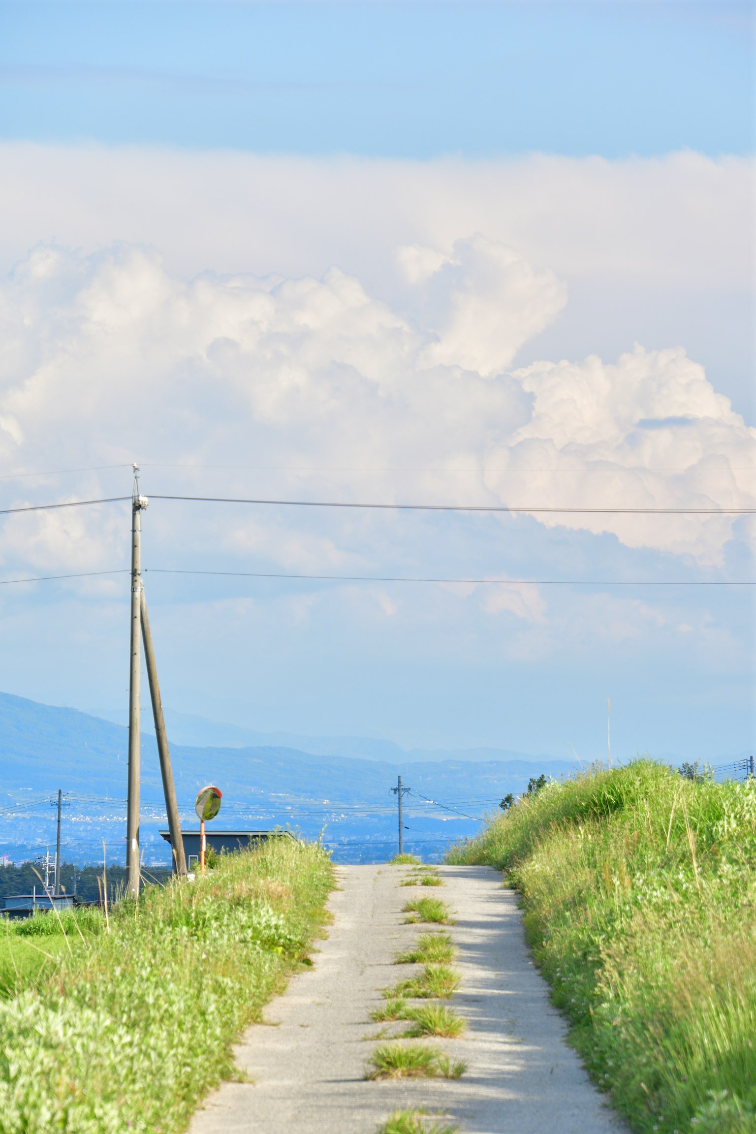Camino rural bajo un cielo azul con nubes blancas