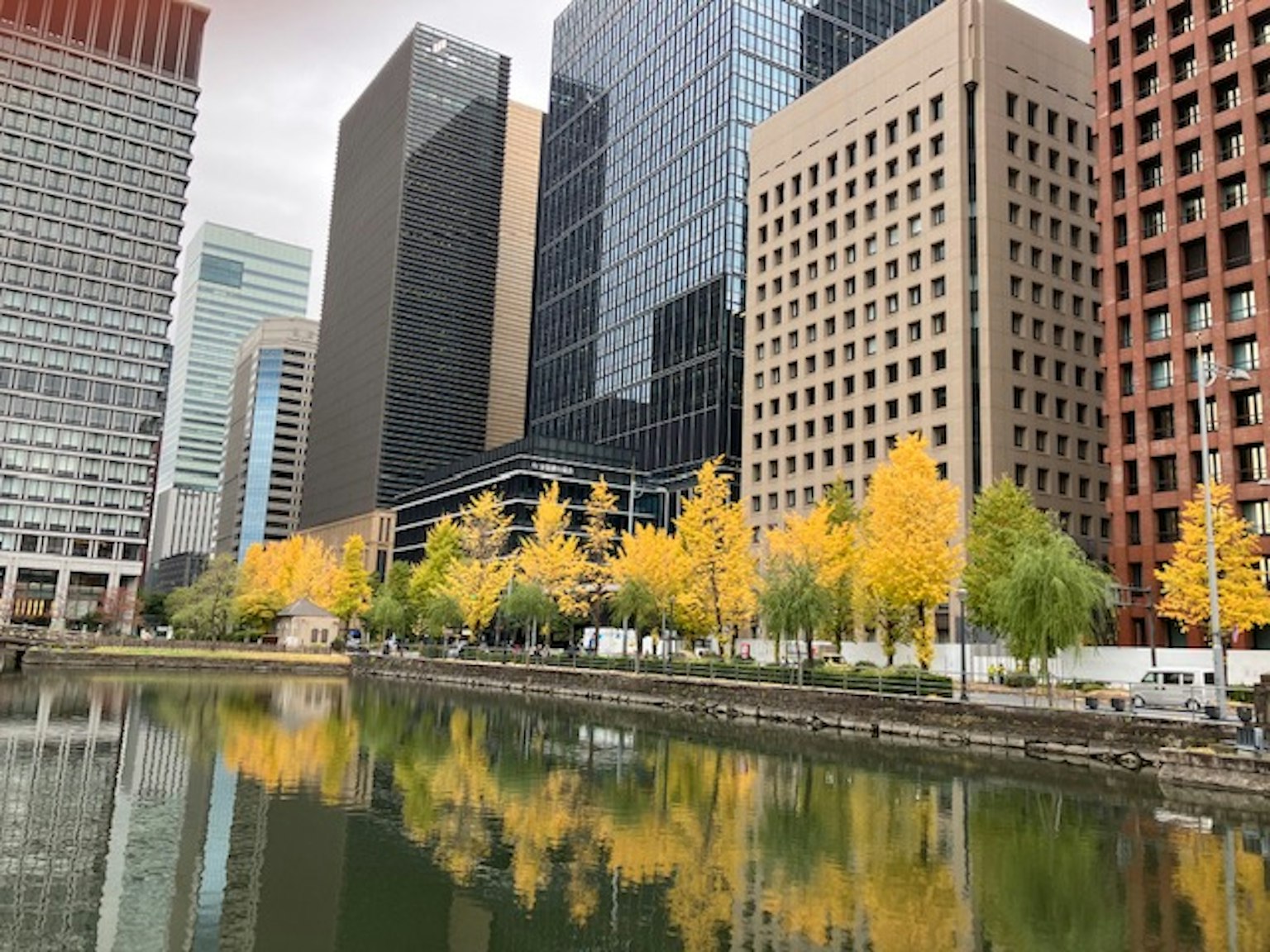 Paisaje urbano con rascacielos y árboles amarillos de otoño reflejándose en el agua