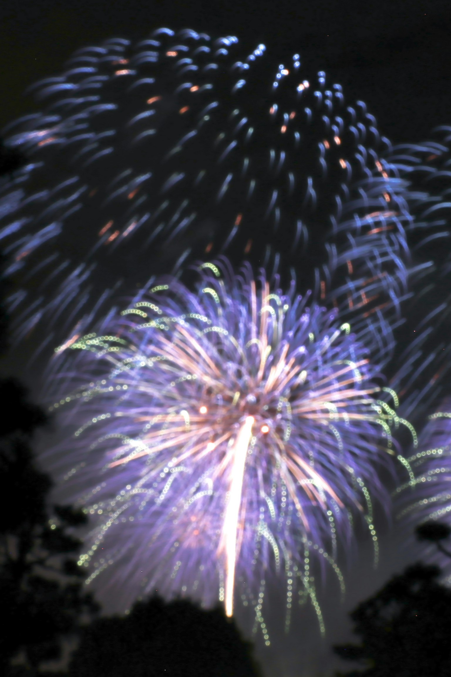 Explodierende blau-violette Feuerwerke am Nachthimmel