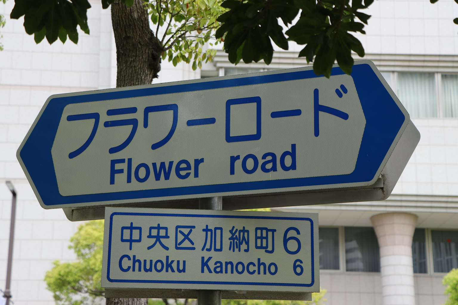 Biển chỉ đường Flower Road với nền xanh và chữ trắng