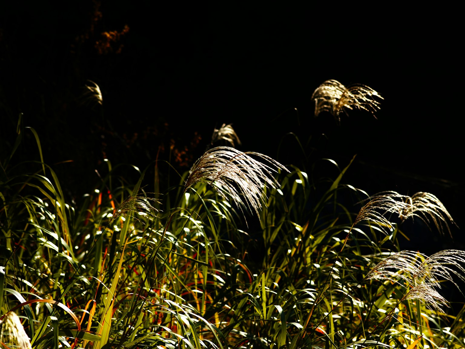 photo-Heu9v6opuEjLTrAklBTo-image