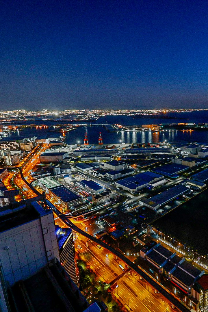 夜景の港湾と工業施設が広がる都市の眺め