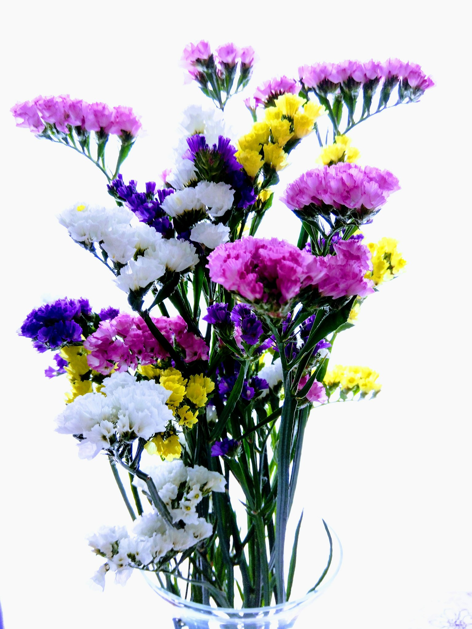 色彩缤纷的花束 白色花 紫色花 黄色花 粉色花