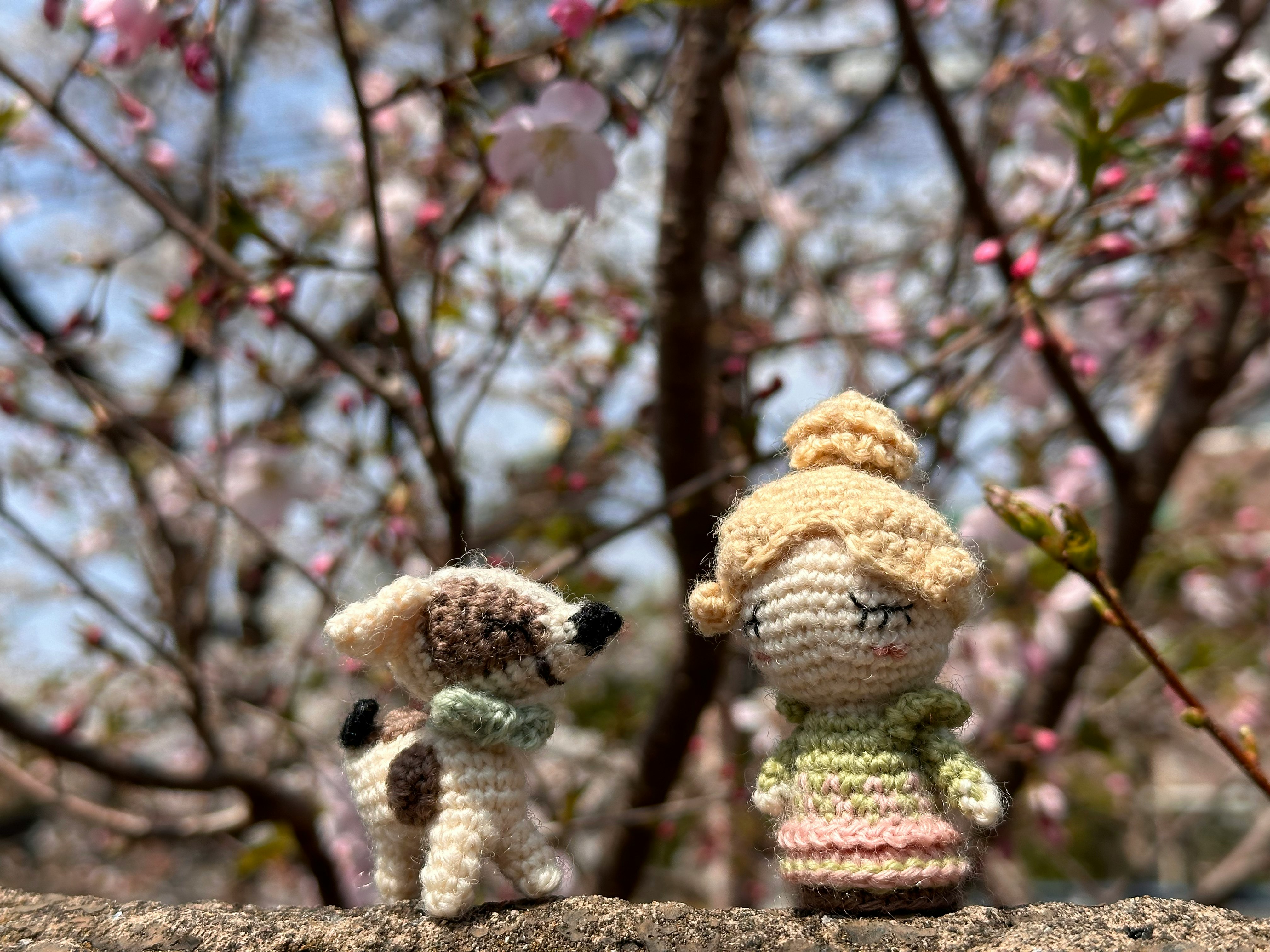 桜の花が咲く木の下で並ぶあみぐるみとぬいぐるみ