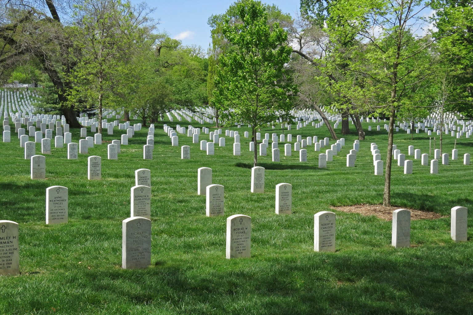 Cimitero verdeggiante con lapidi bianche e alberi