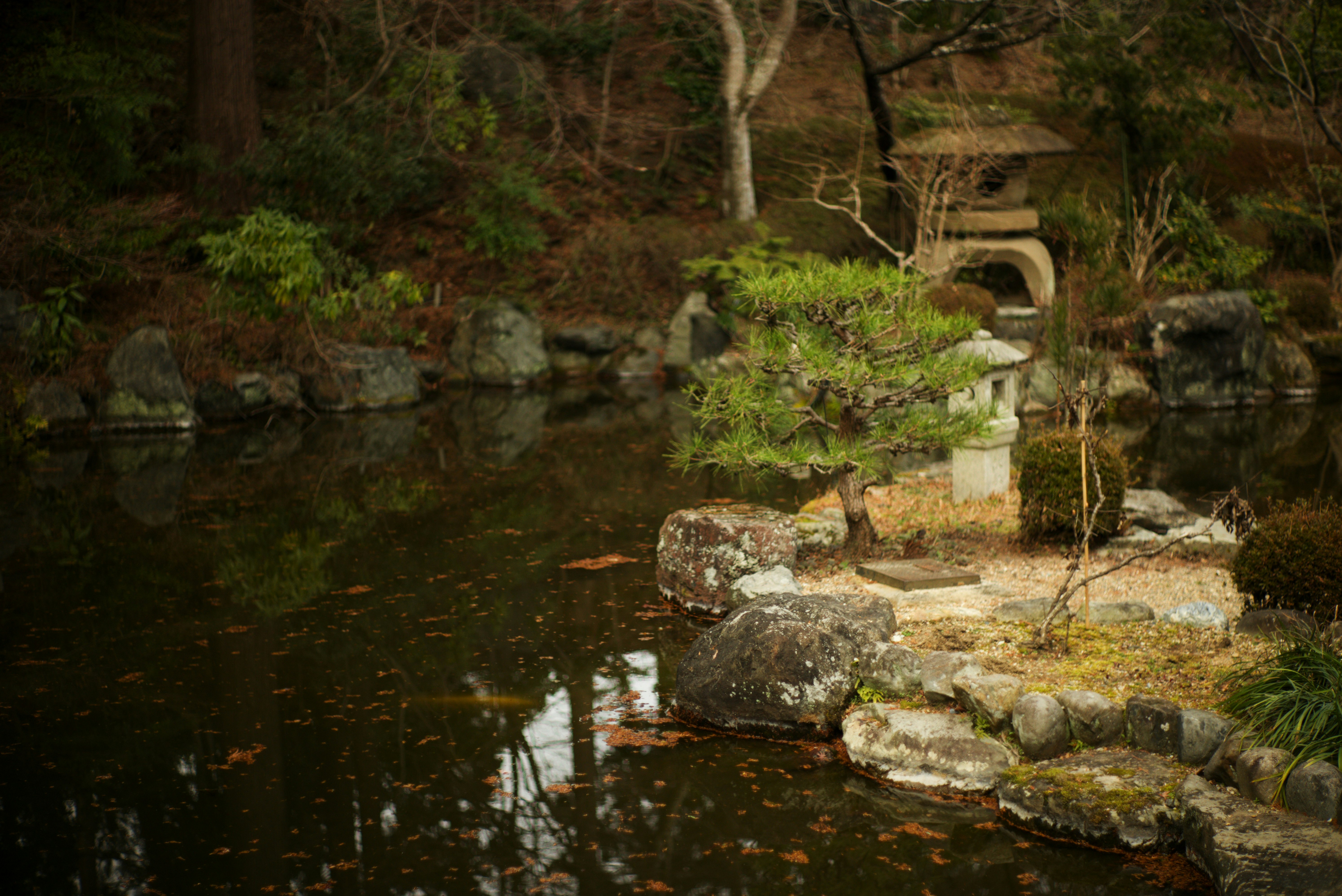 京都・善峯寺の池と苔むす石の小川