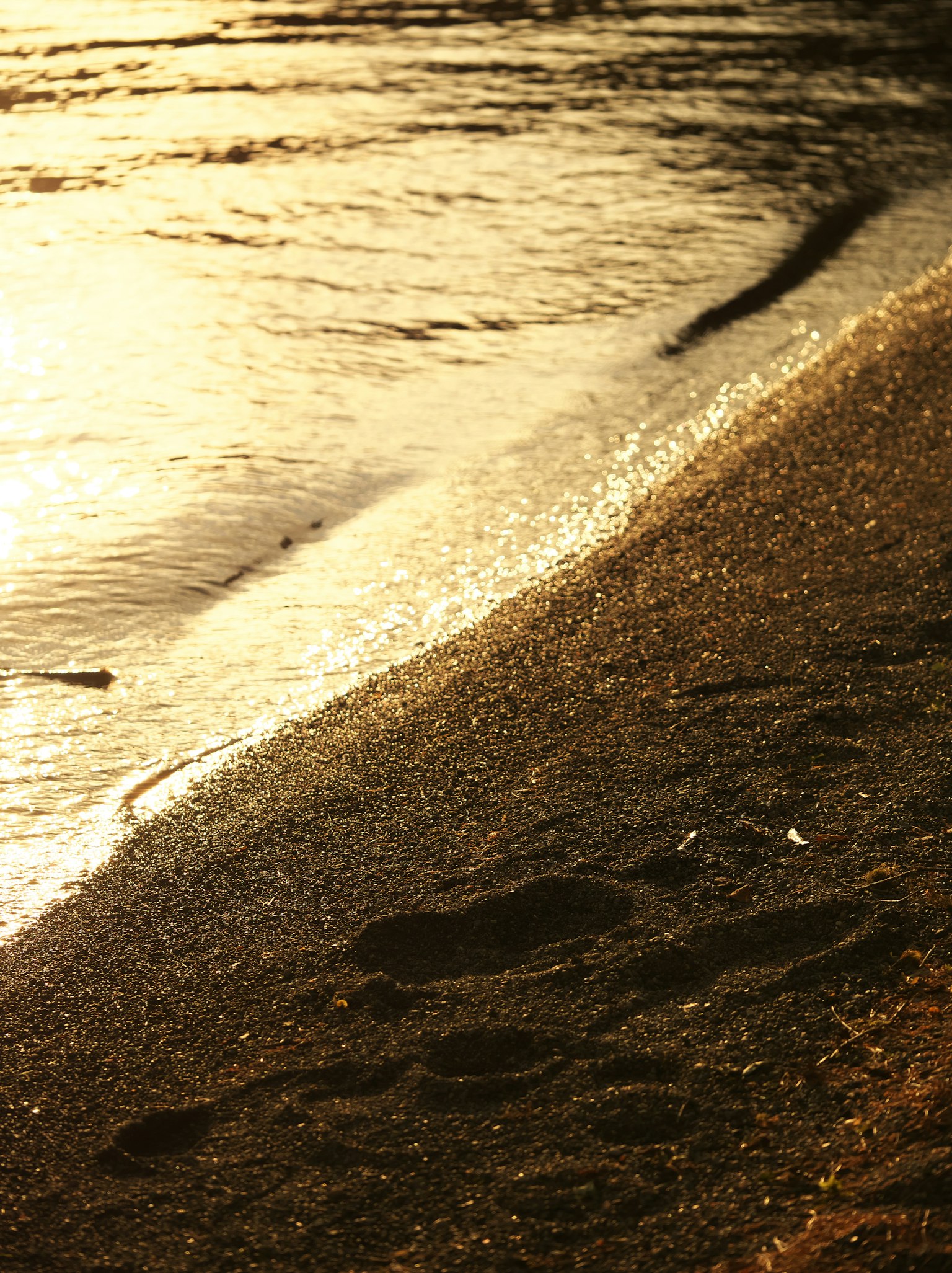 Des empreintes sur la plage de sable au coucher du soleil