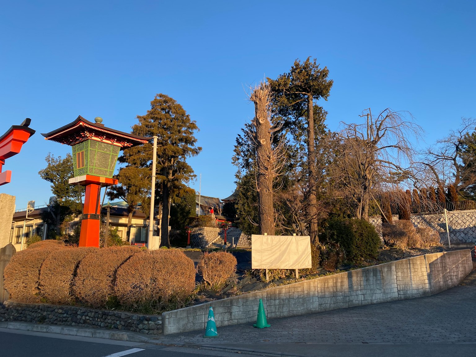 Lanterna giapponese tradizionale e alberi sotto un cielo blu chiaro