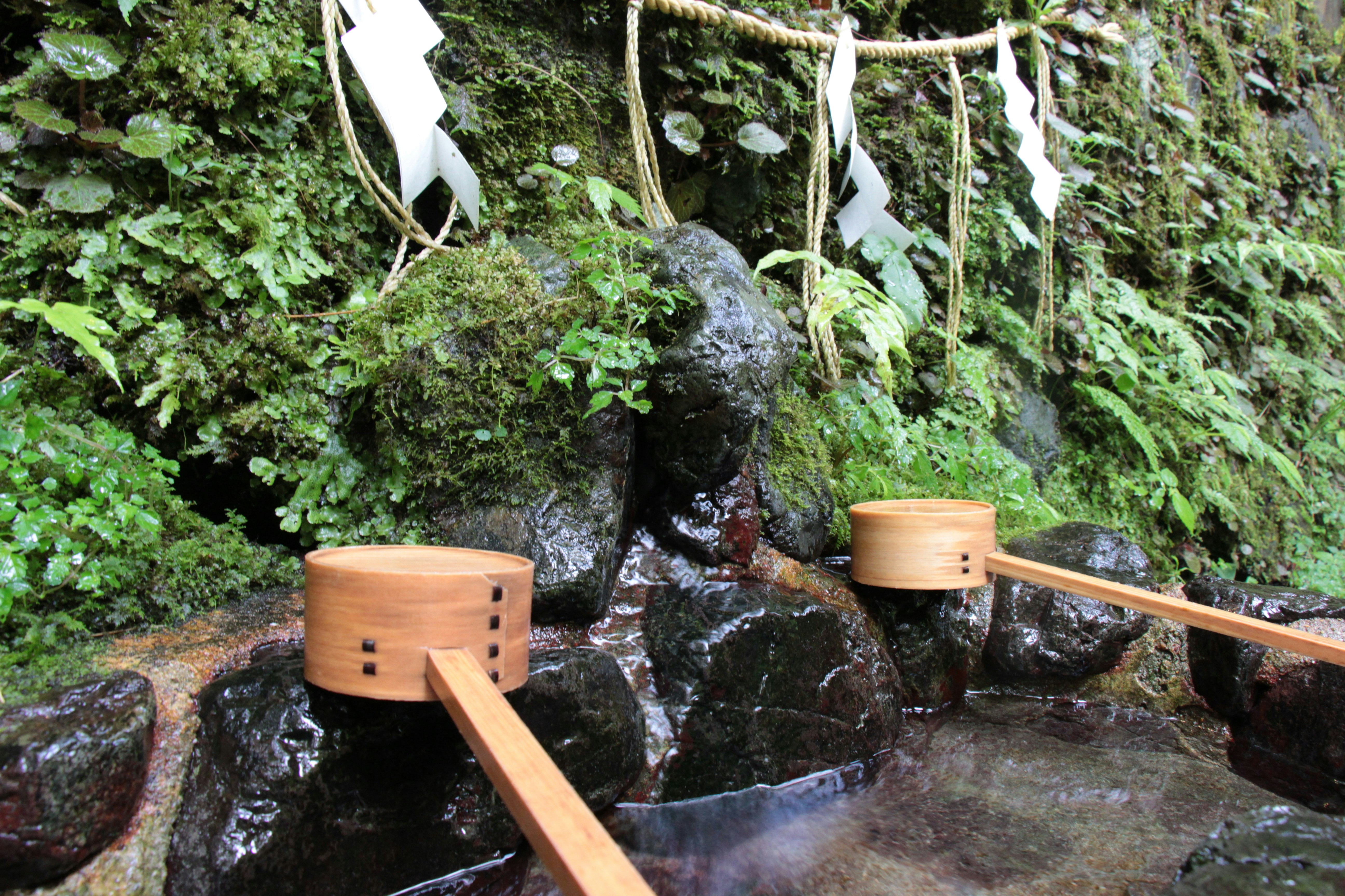 初夏绿意中的小型手洗水池与出水口