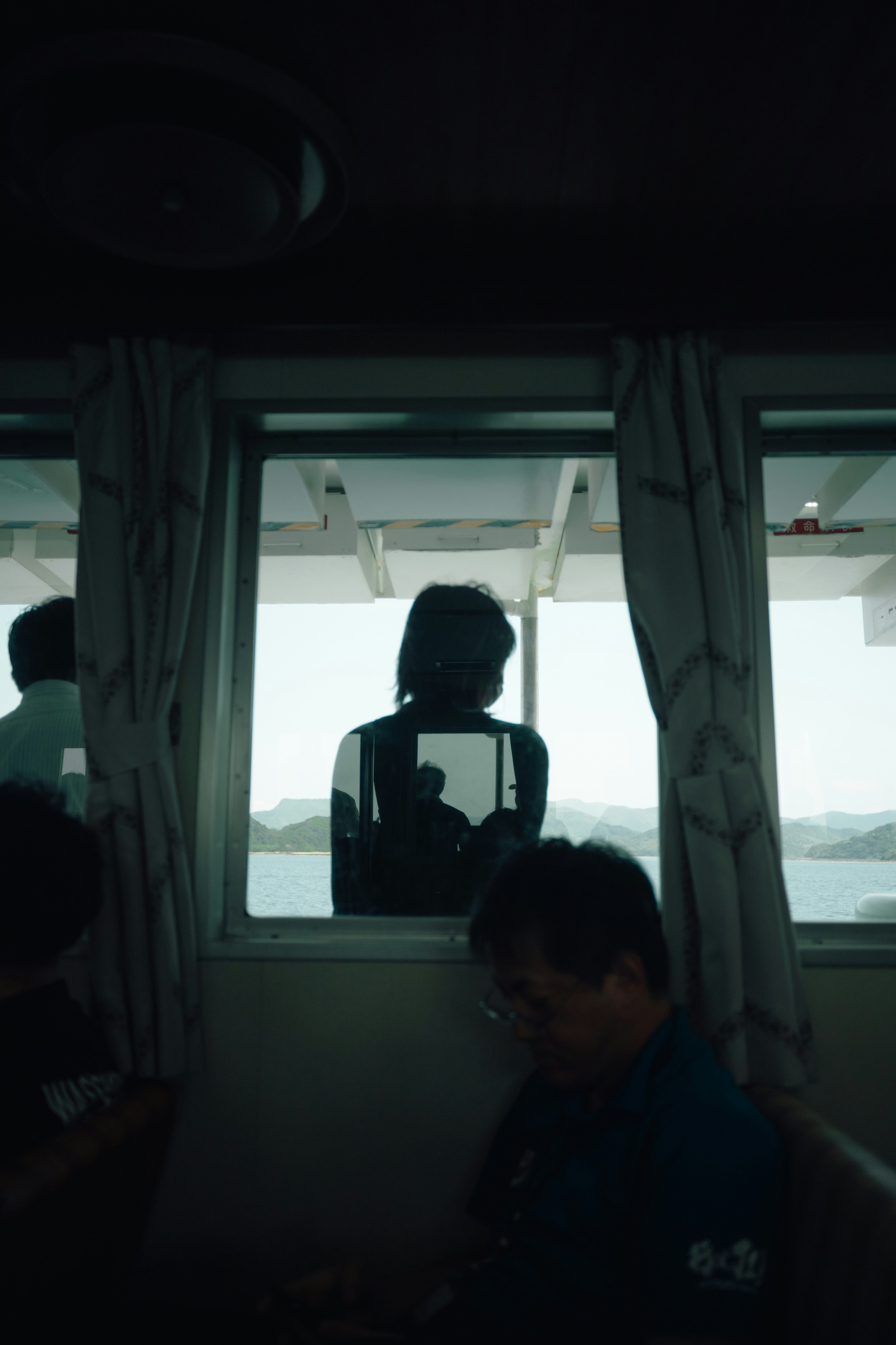 窓の外を眺める人影のある車内の風景