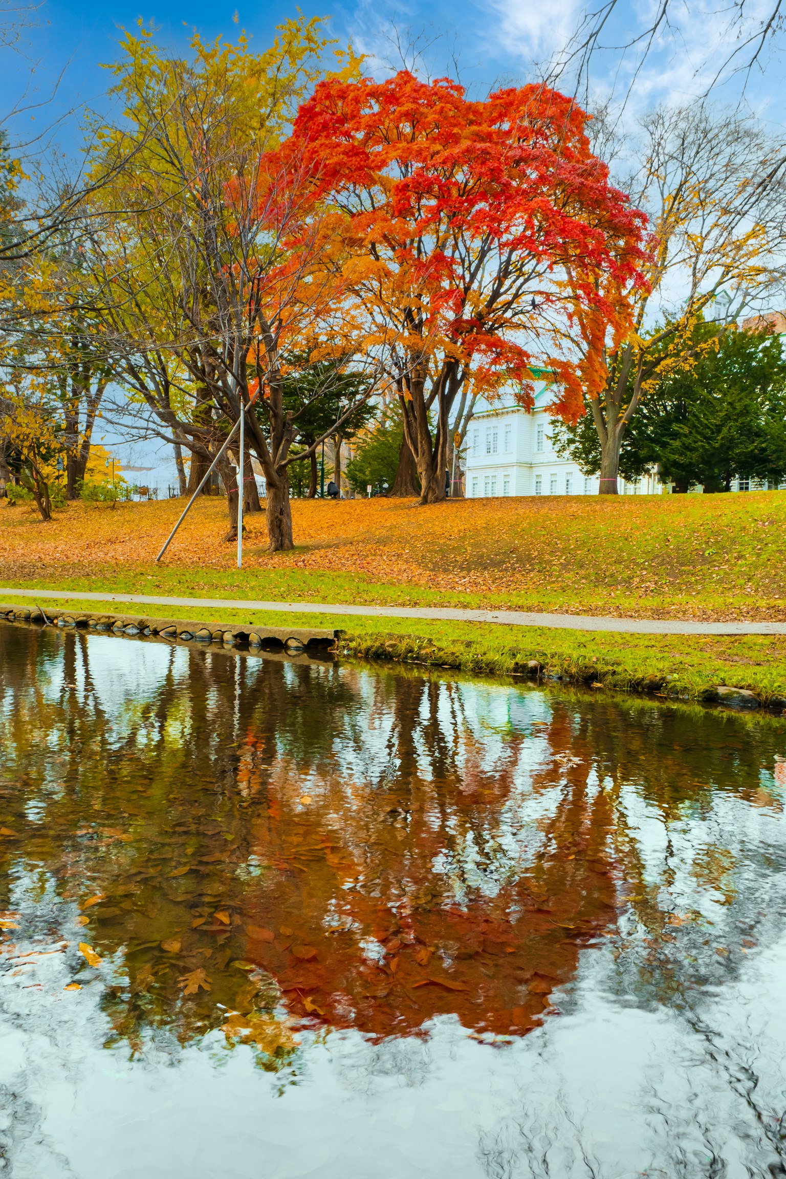 Vue pittoresque d'arbres d'automne vibrants reflétés dans un étang calme