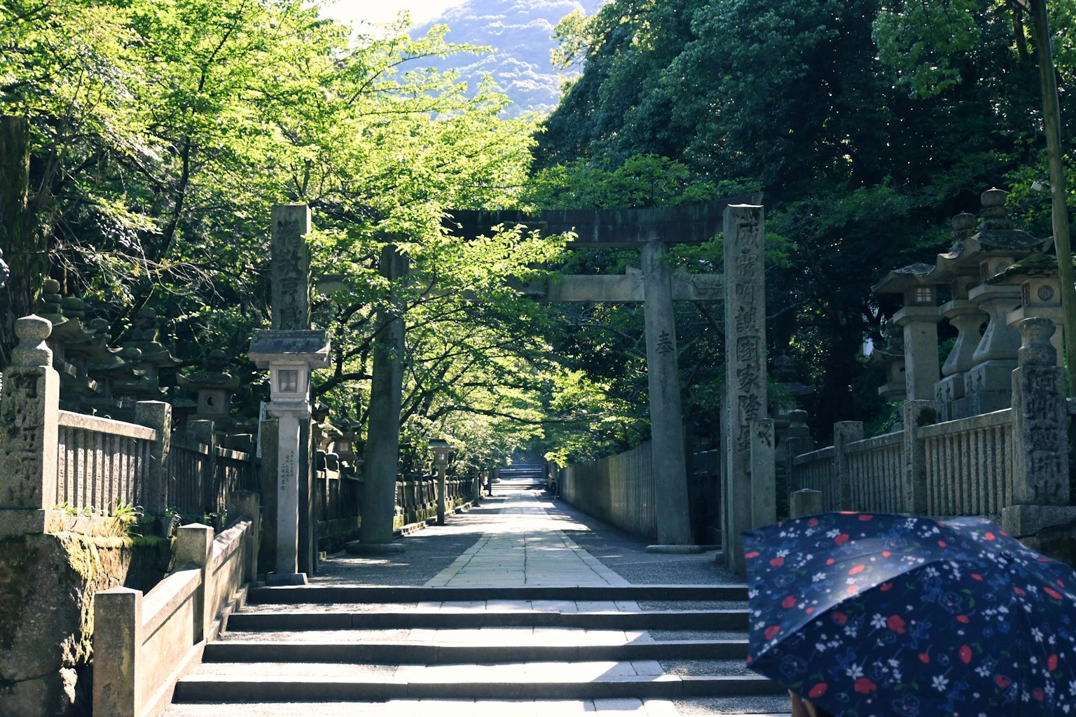 Chemin pittoresque menant à un sanctuaire entouré de verdure luxuriante et de portes torii en pierre