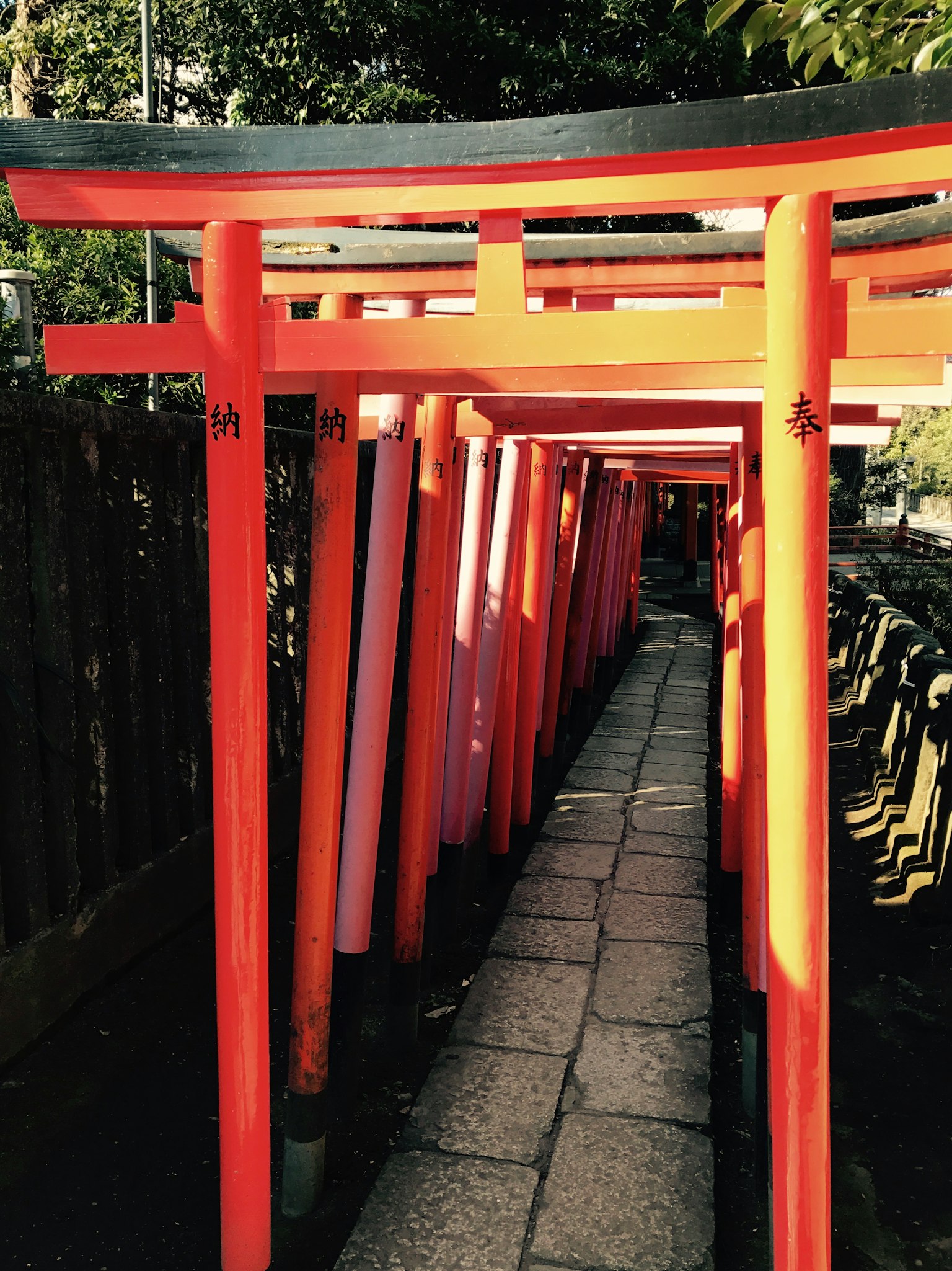 Pathway lined with vibrant red torii gates