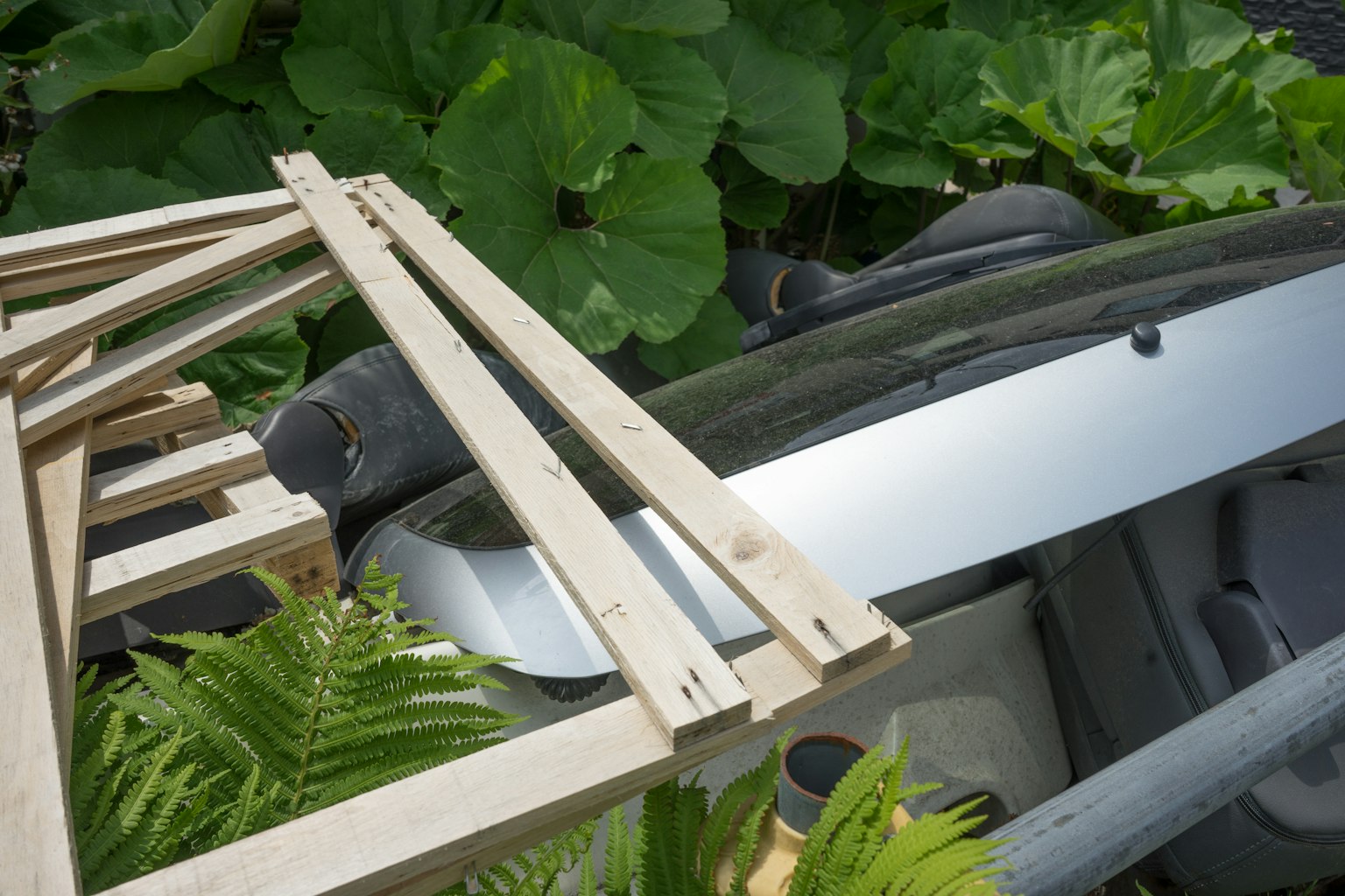 Planches en bois reposant sur une voiture entourée de feuillage vert