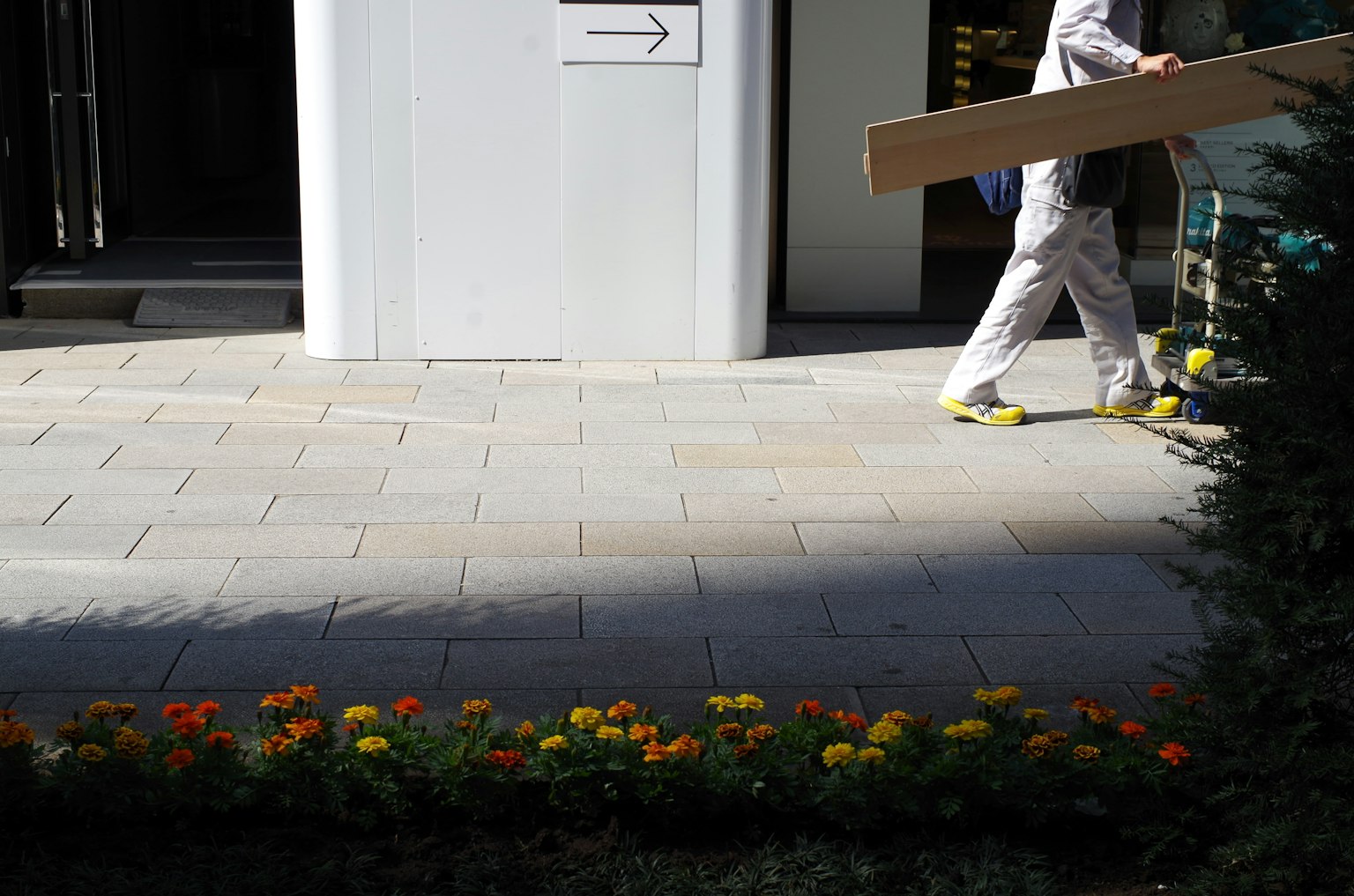 Ein Arbeiter in weißer Kleidung trägt ein großes Brett auf einem Bürgersteig mit einem Blumenbeet