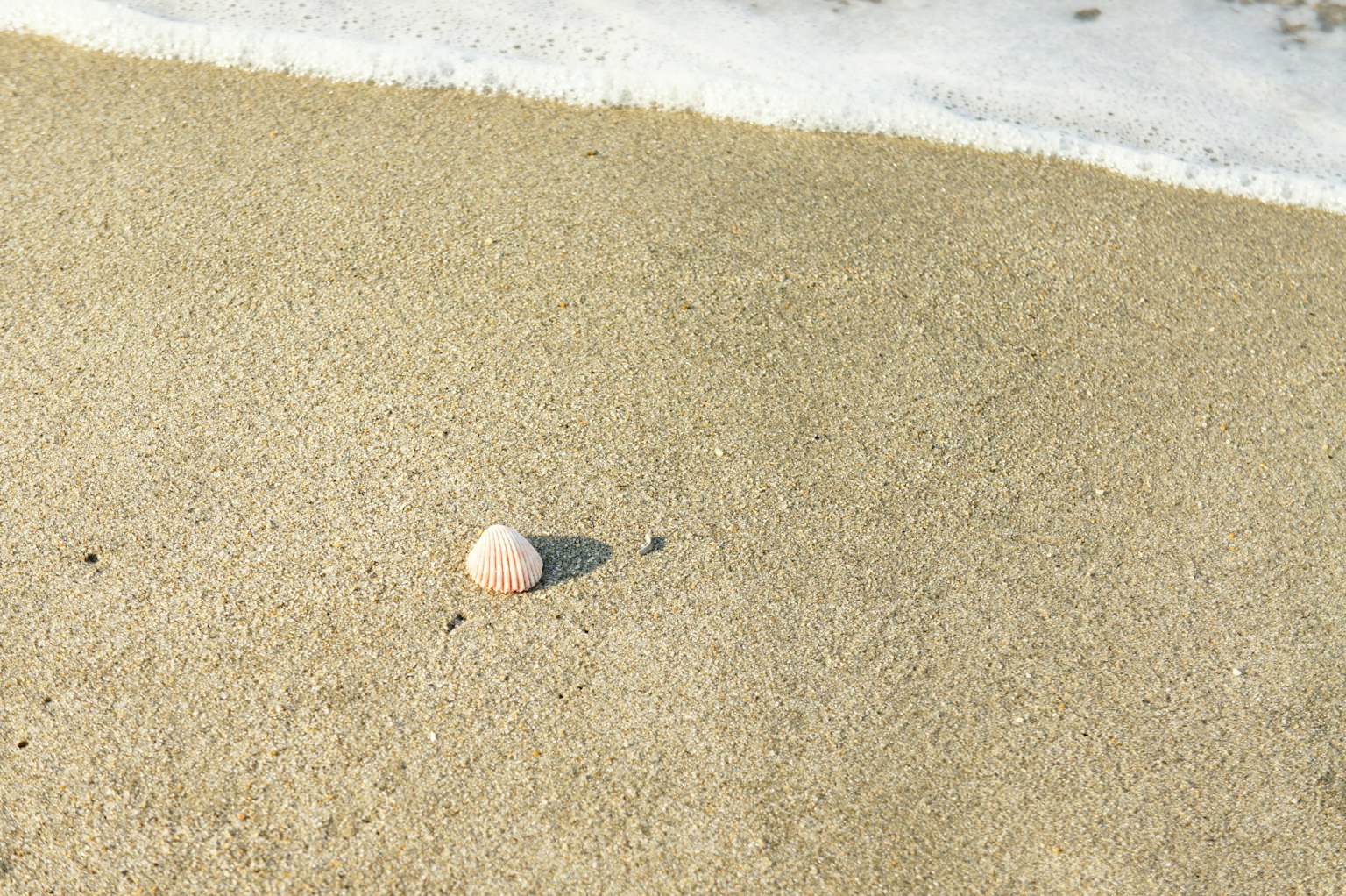 Una piccola pietra rosa sulla spiaggia sabbiosa