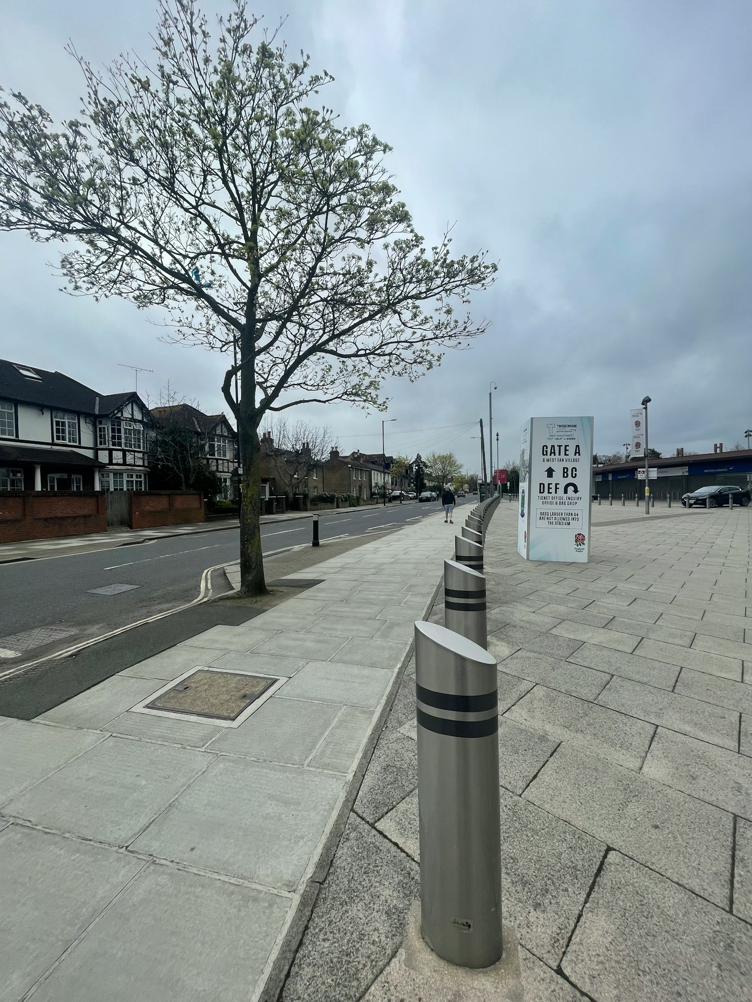 街道上的树和新铺的步道及路障