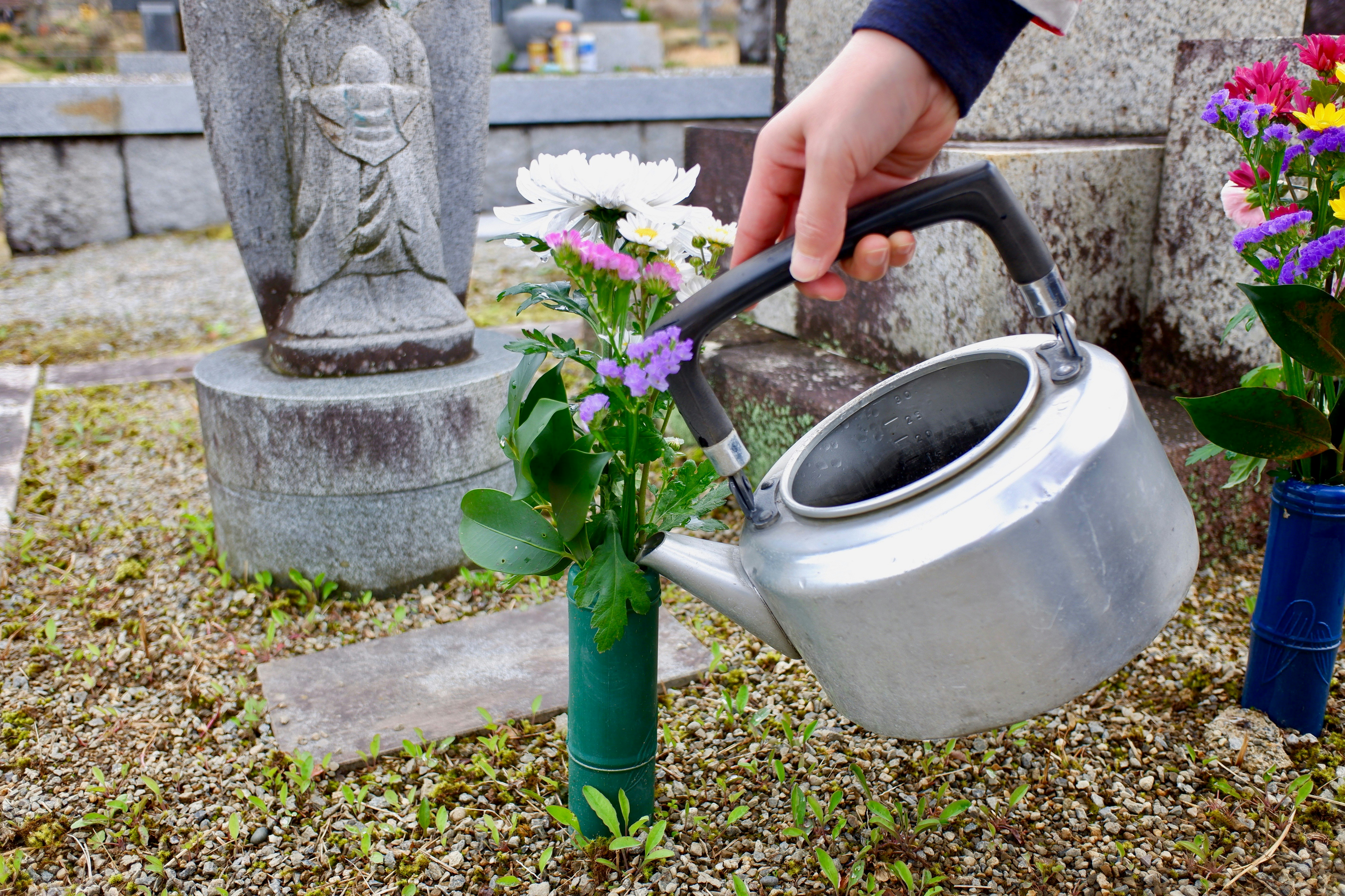 墓碑前放花的手與澆水壺的墓園場景