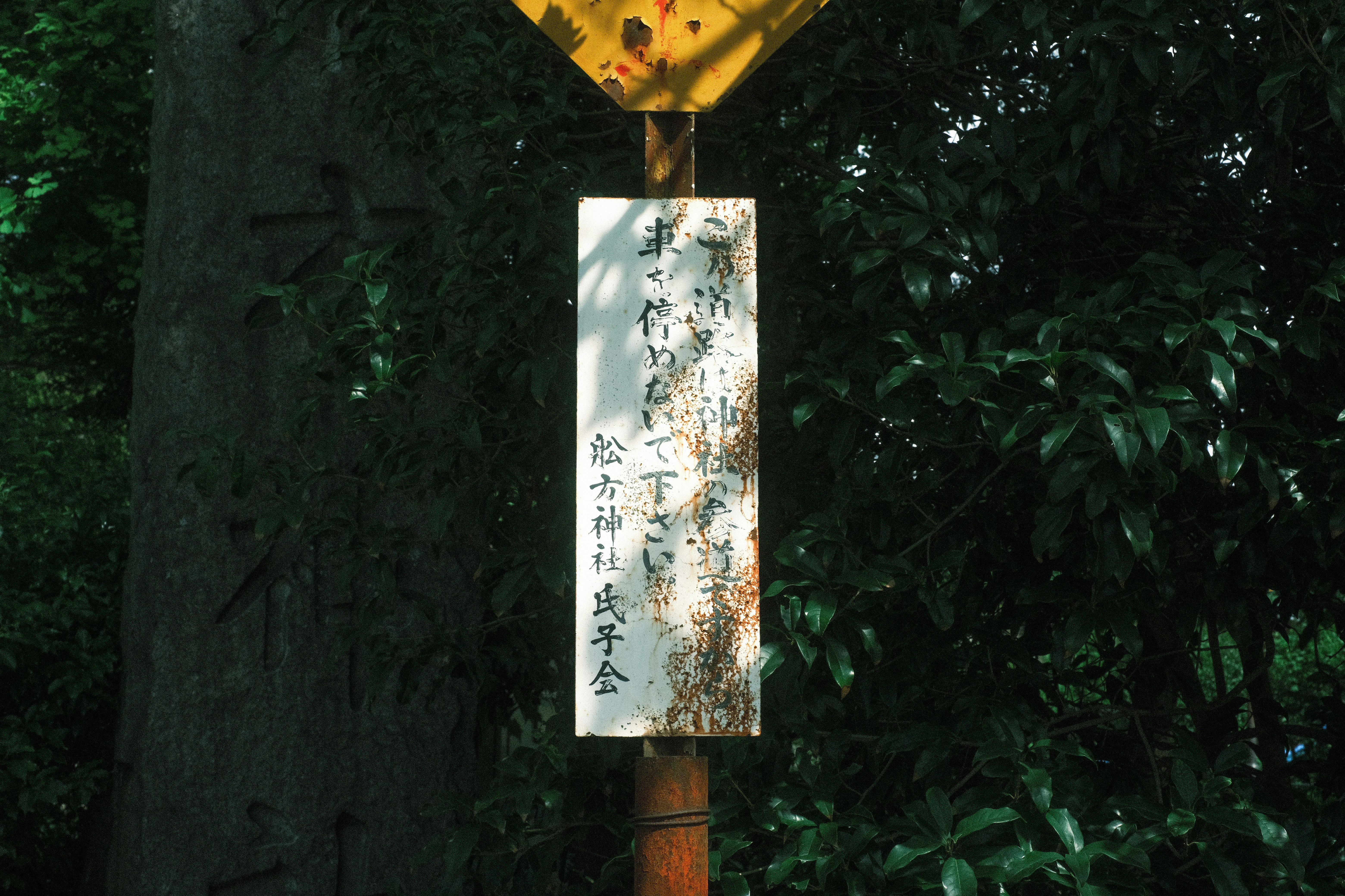 amulette japonaise en forme de talisman suspendue parmi les arbres