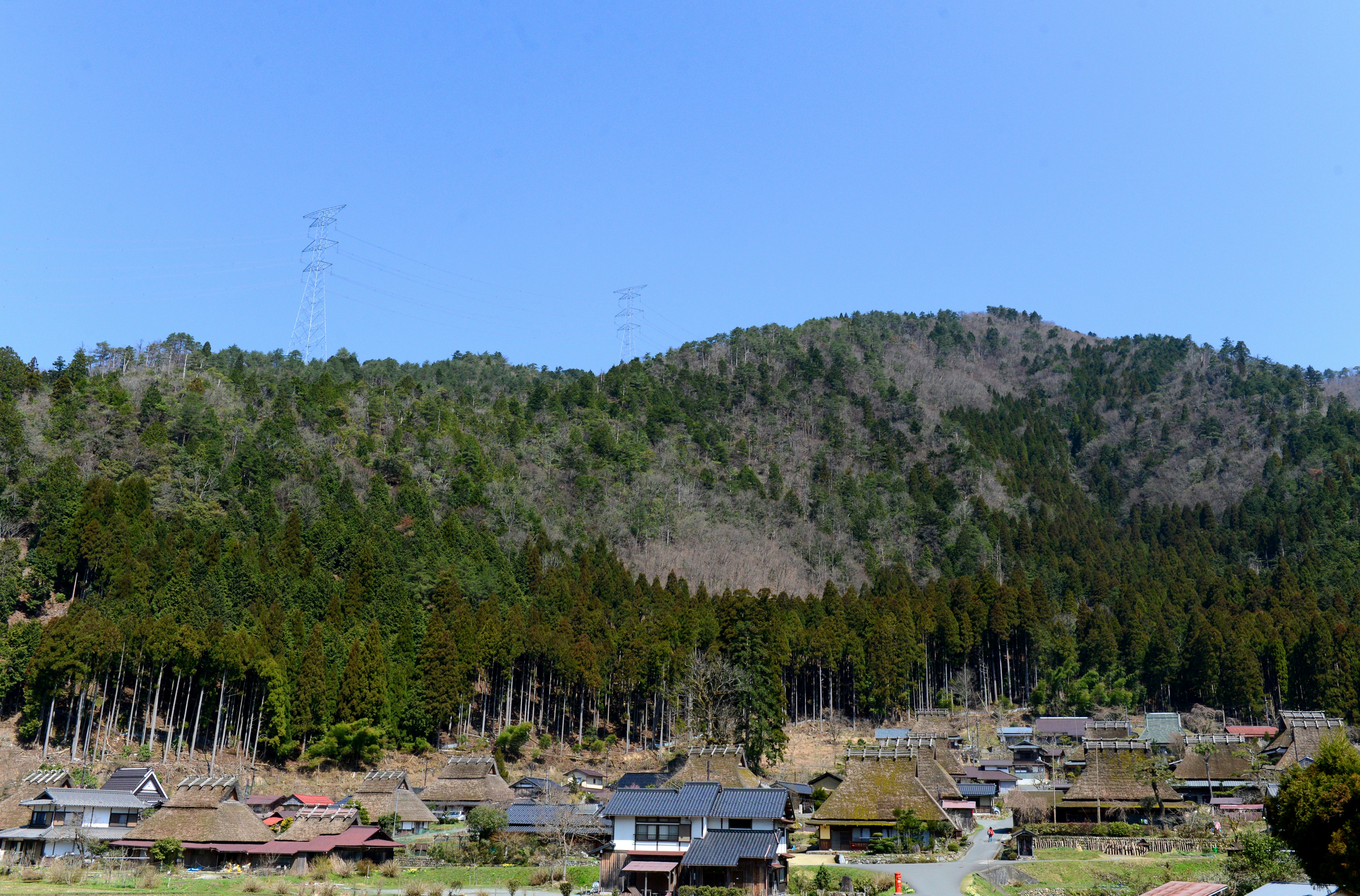 山间村落与林木山坡的风景