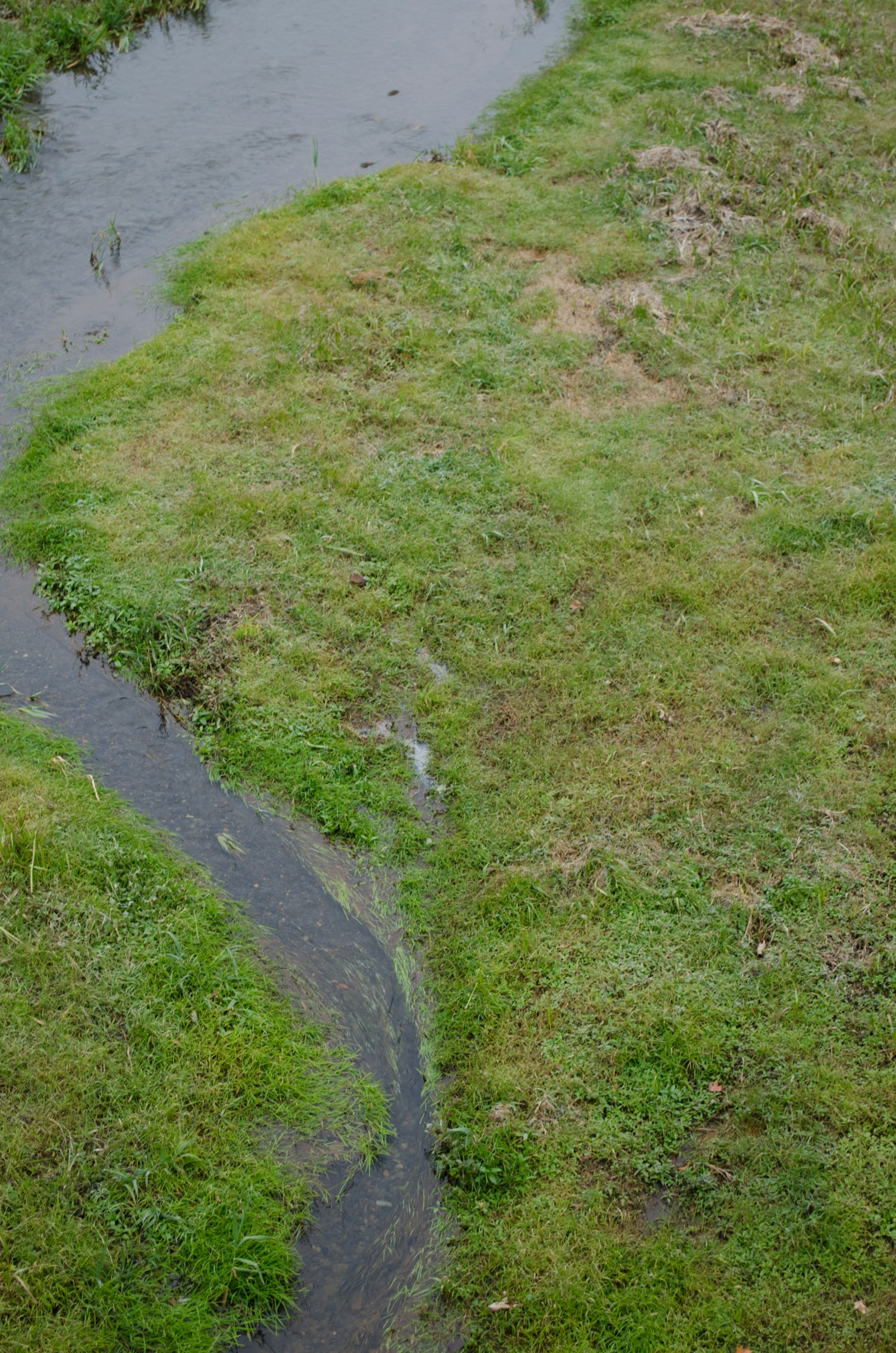 Aerial view of a small stream winding through green grass