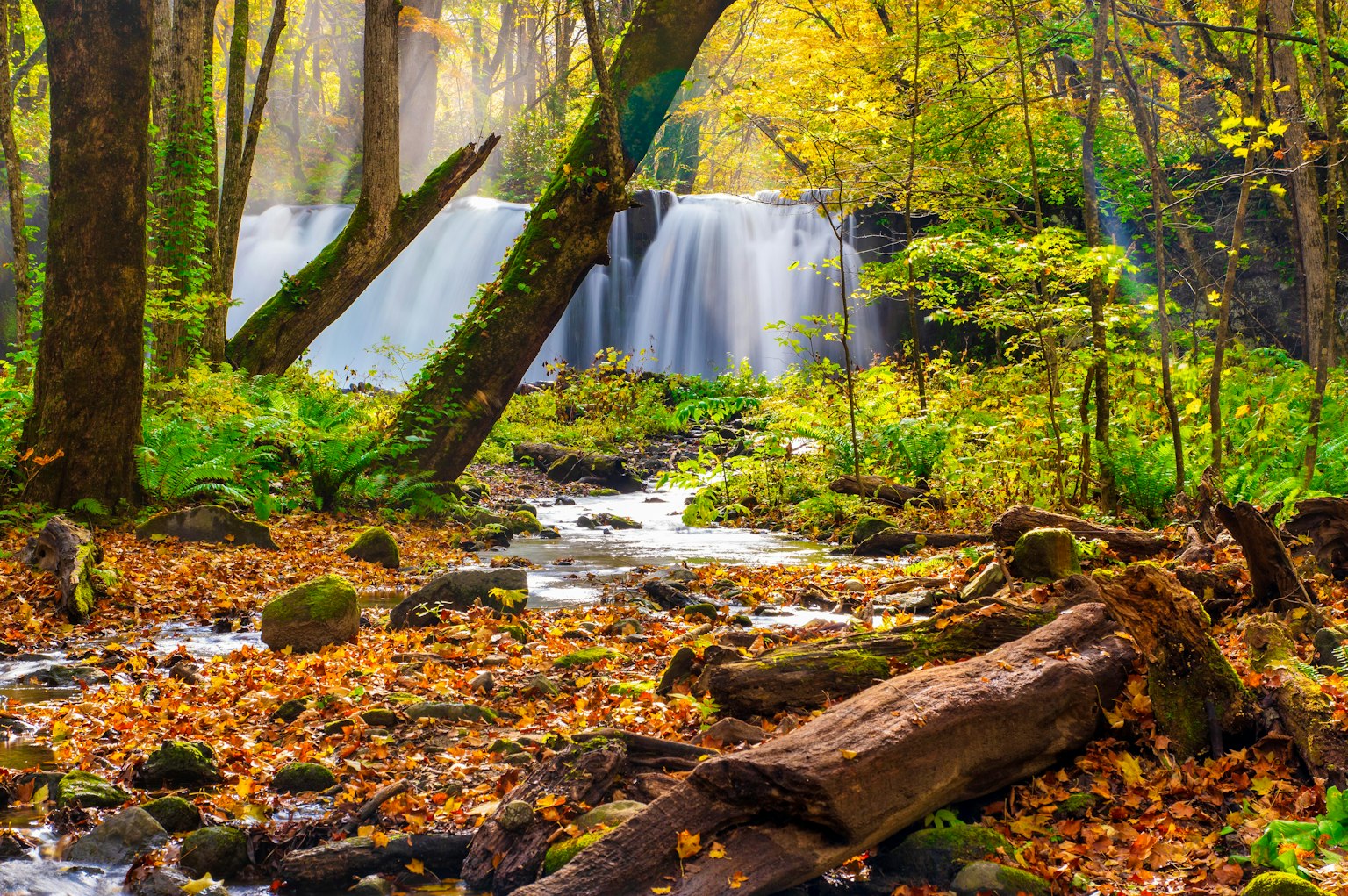 Forest landscape with a waterfall surrounded by colorful autumn leaves