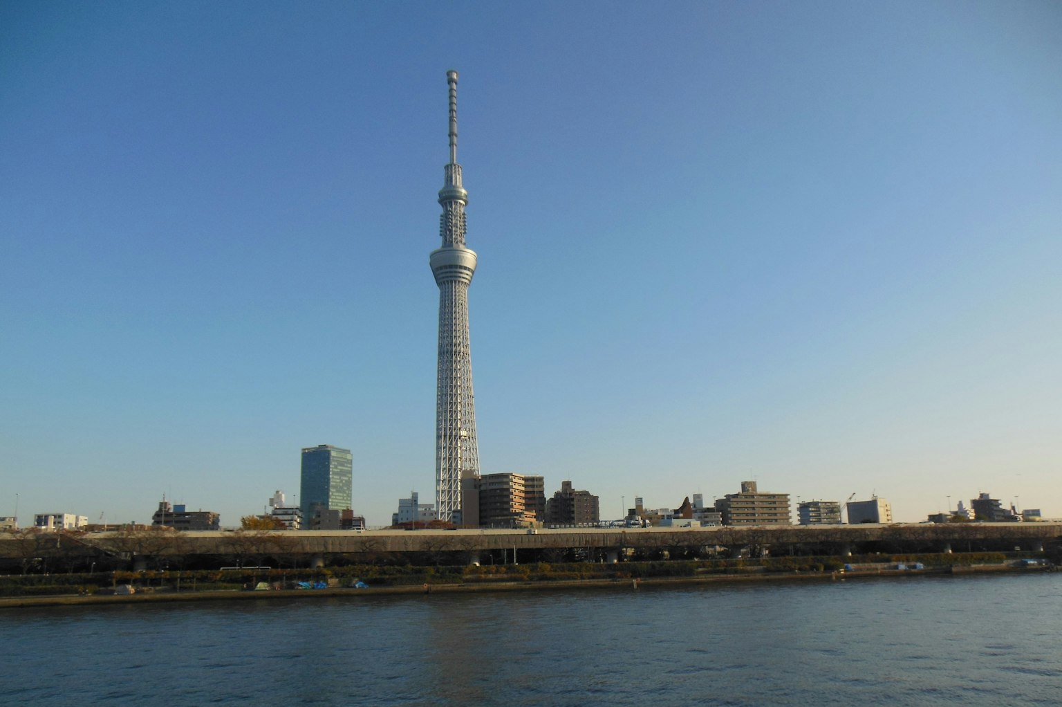 东京天空树和河流的景观