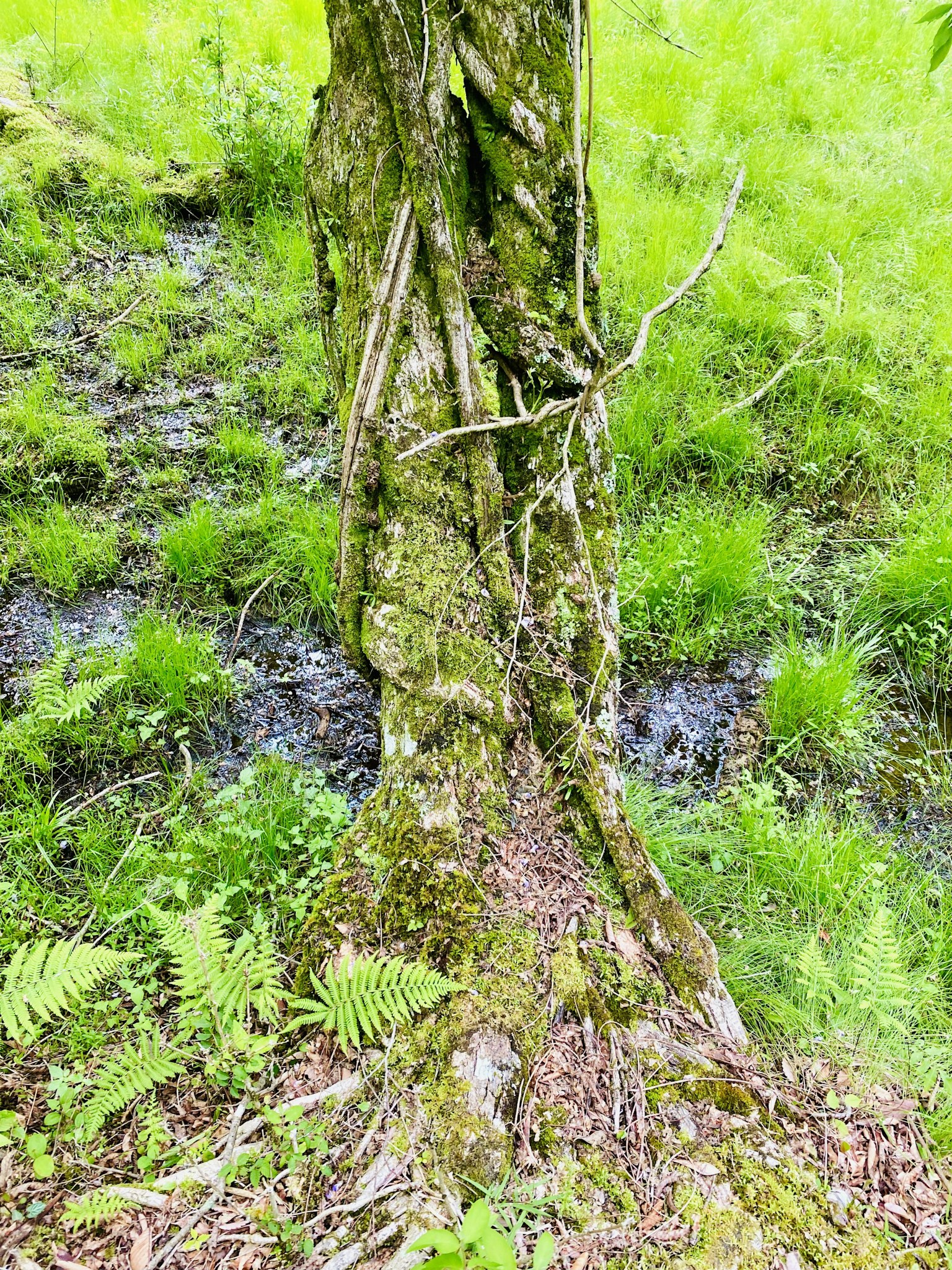 photo-HmeER0e0EjymQ7cMwmqj-image