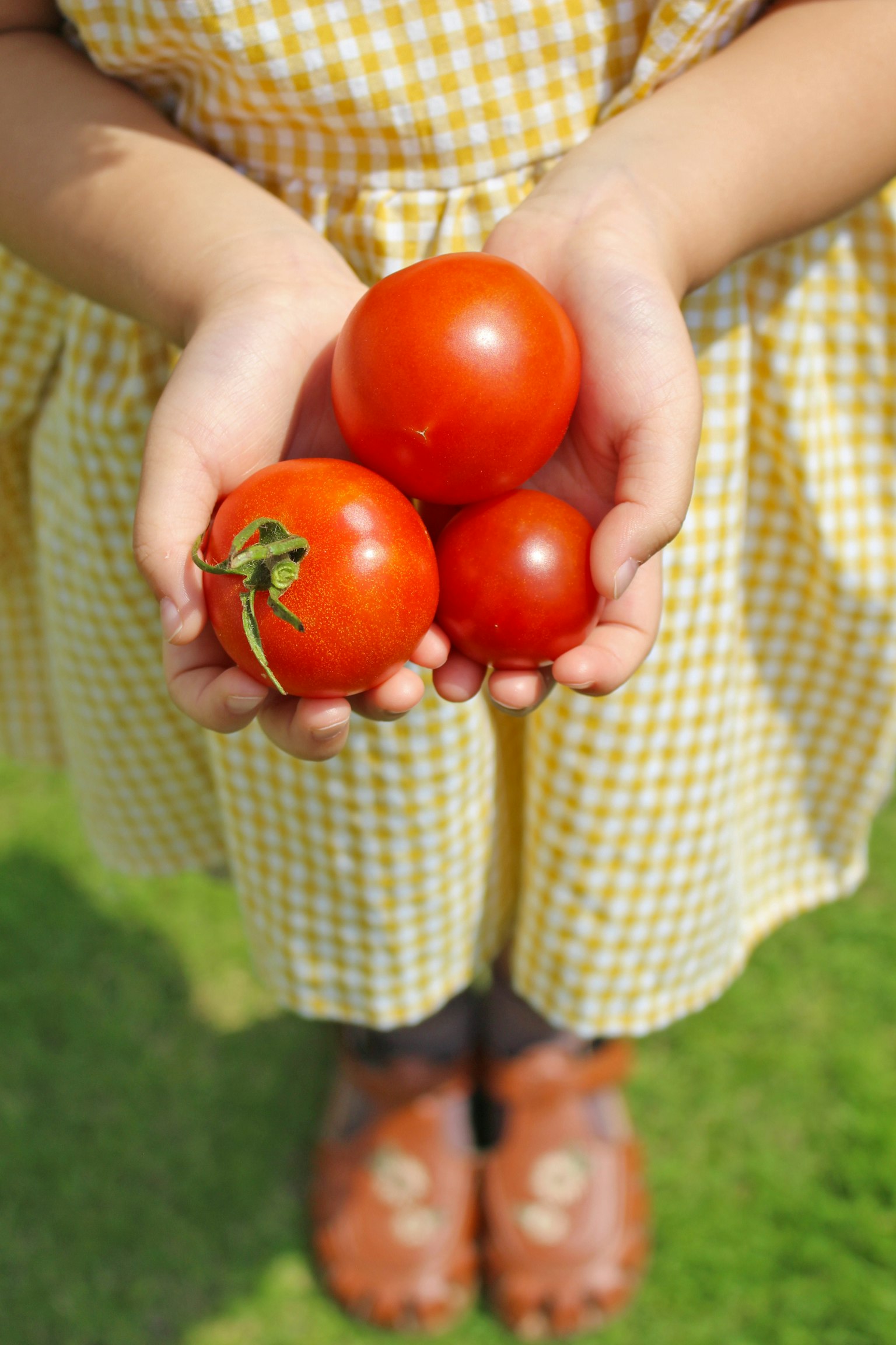 Une fille tenant trois tomates portant une jolie robe à carreaux jaunes