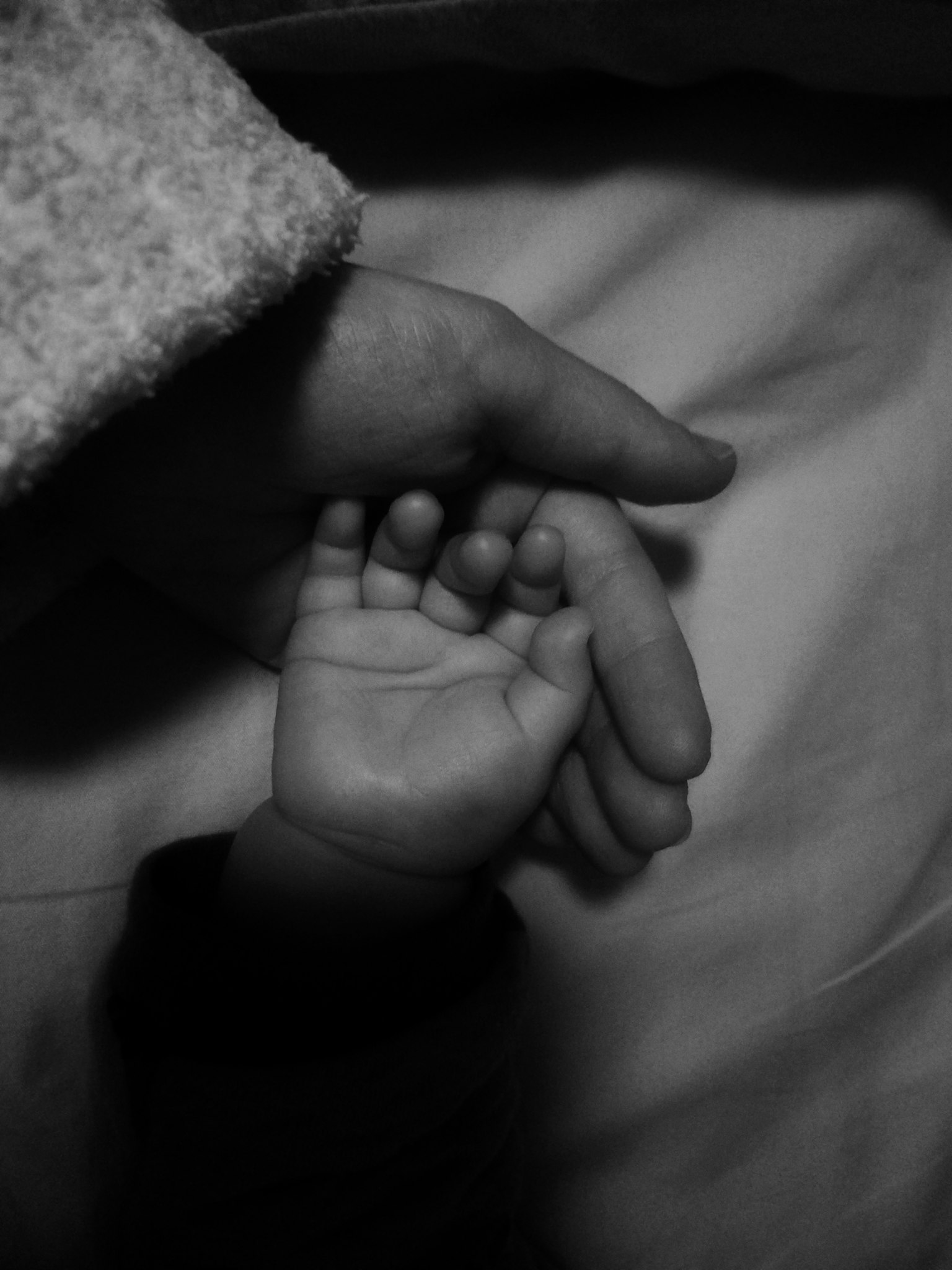 Un'immagine in bianco e nero di una mano di bambino e una mano di adulto intrecciate