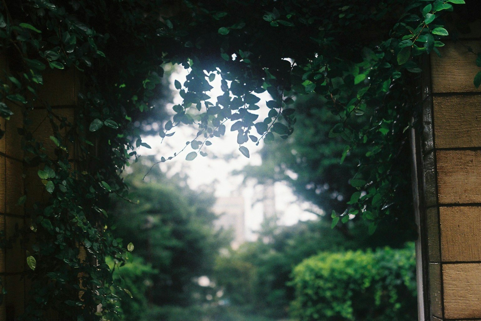 Archway framed by green leaves leading to a garden view