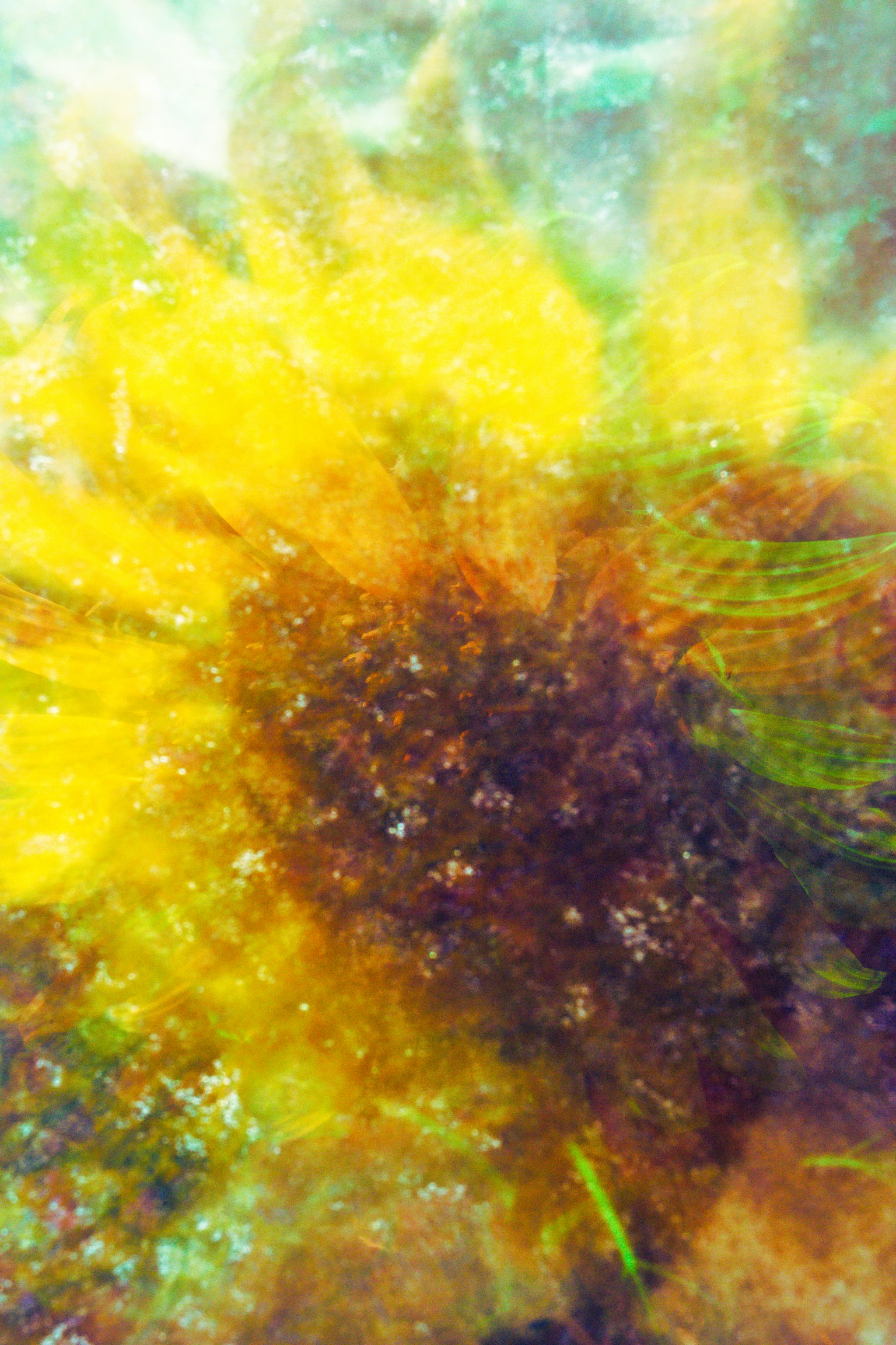 photo-Ho0meXt3kbzL36UnAYnm-image