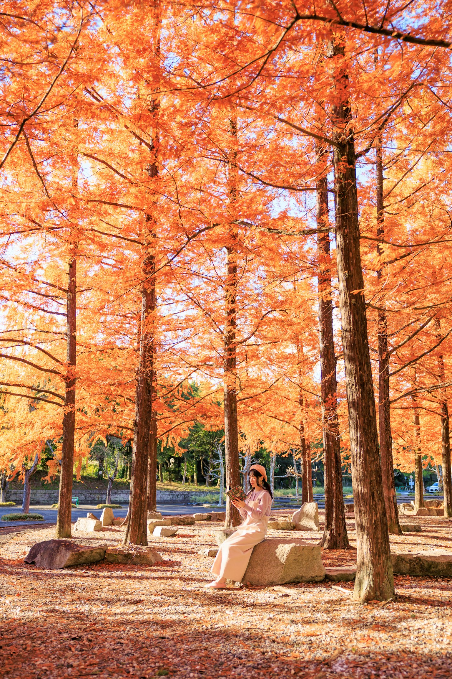 Woman sitting in a park surrounded by trees with orange leaves