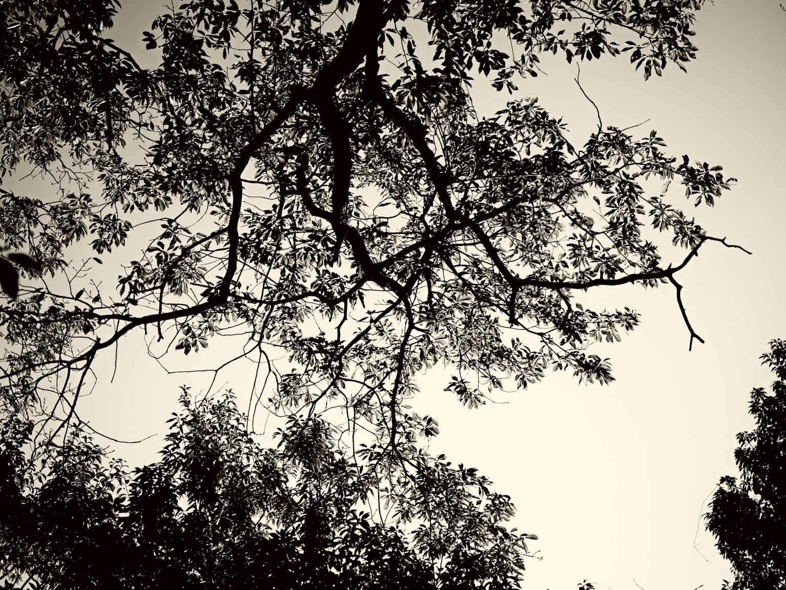 photo-Hpze5CkzsYv82Wur0Gs4-image