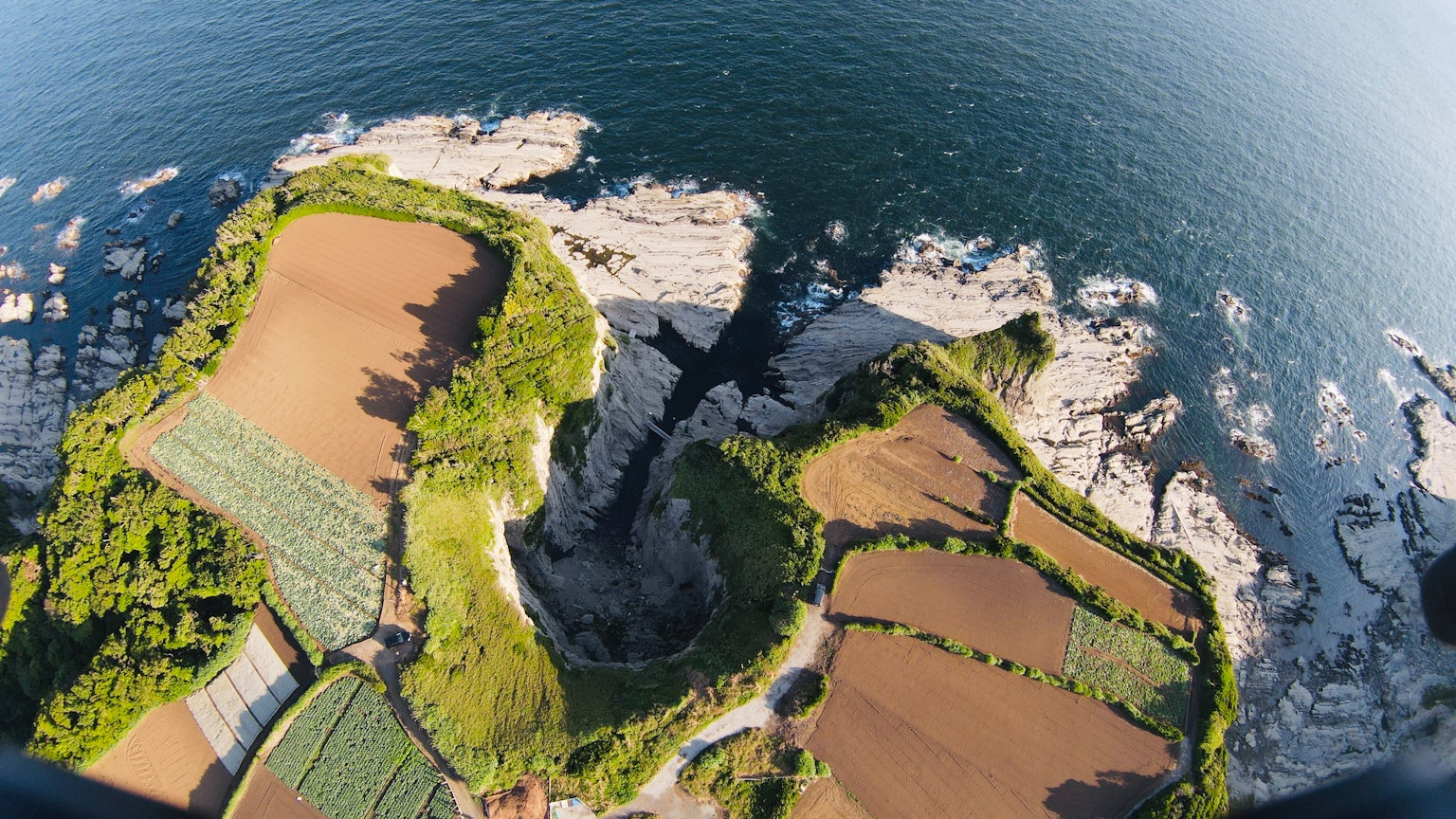 Vista aerea di bellissimi campi terrazzati e costa rocciosa sul mare