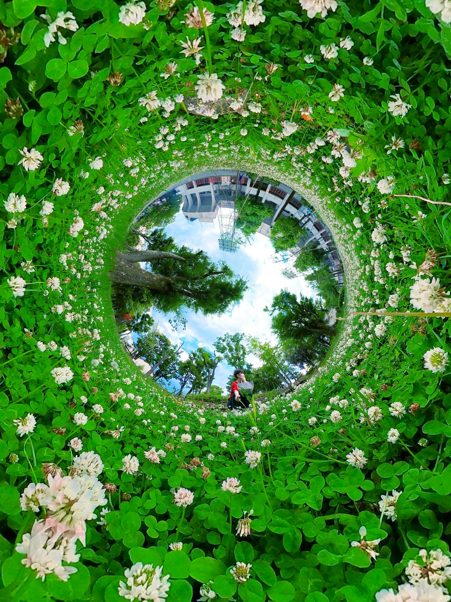 Riflessione circolare circondata da erba verde e fiori bianchi