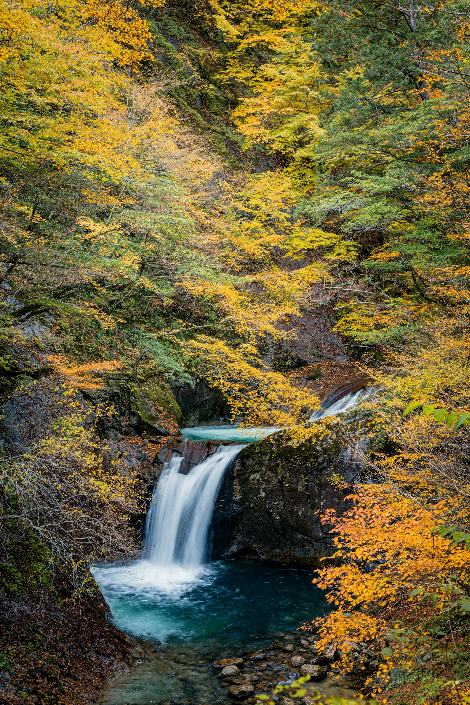 美しい滝と秋の紅葉が広がる風景 緑とオレンジの葉に囲まれた清らかな水