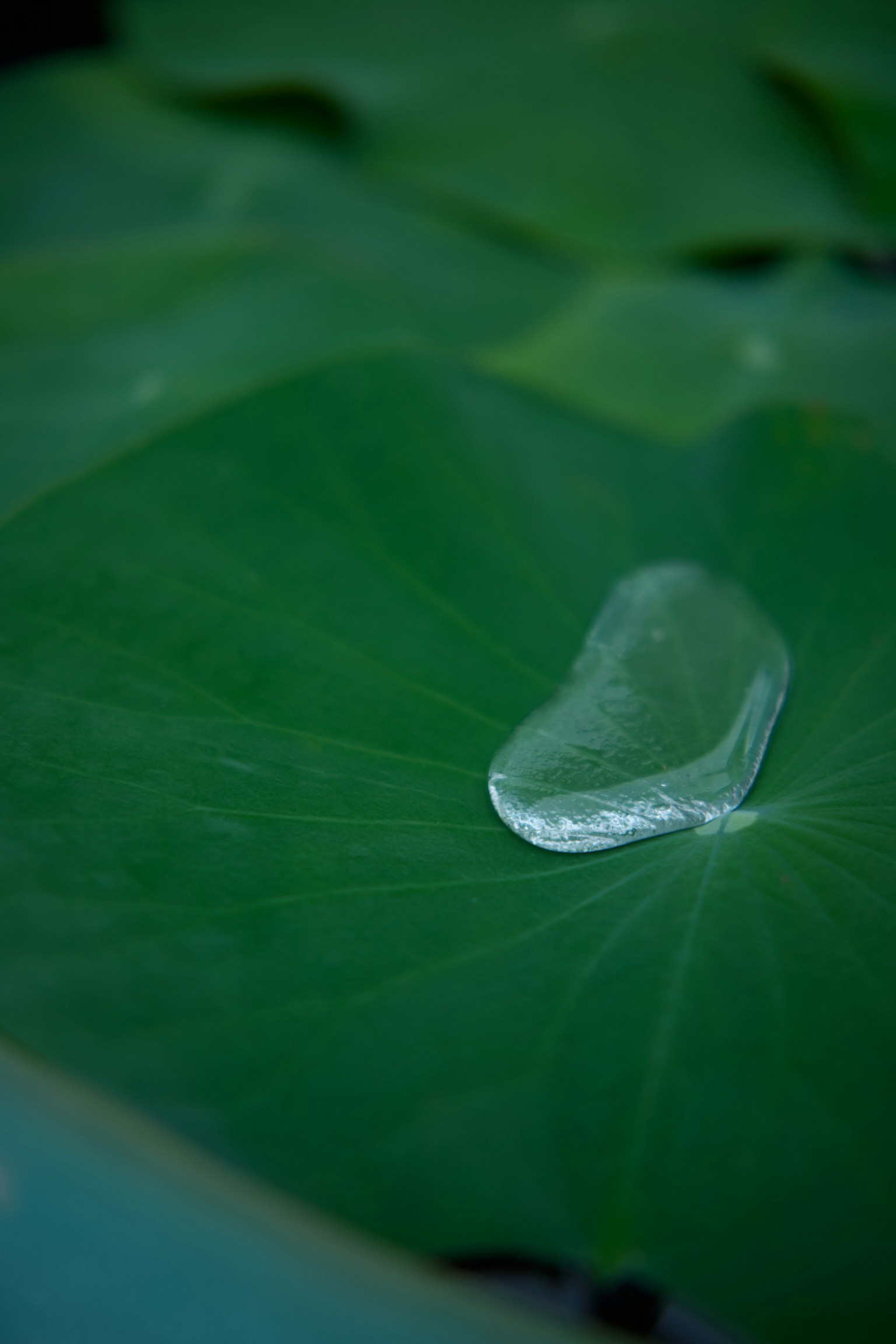 photo-HrUztyyOWSi1EW2BiiLP-image