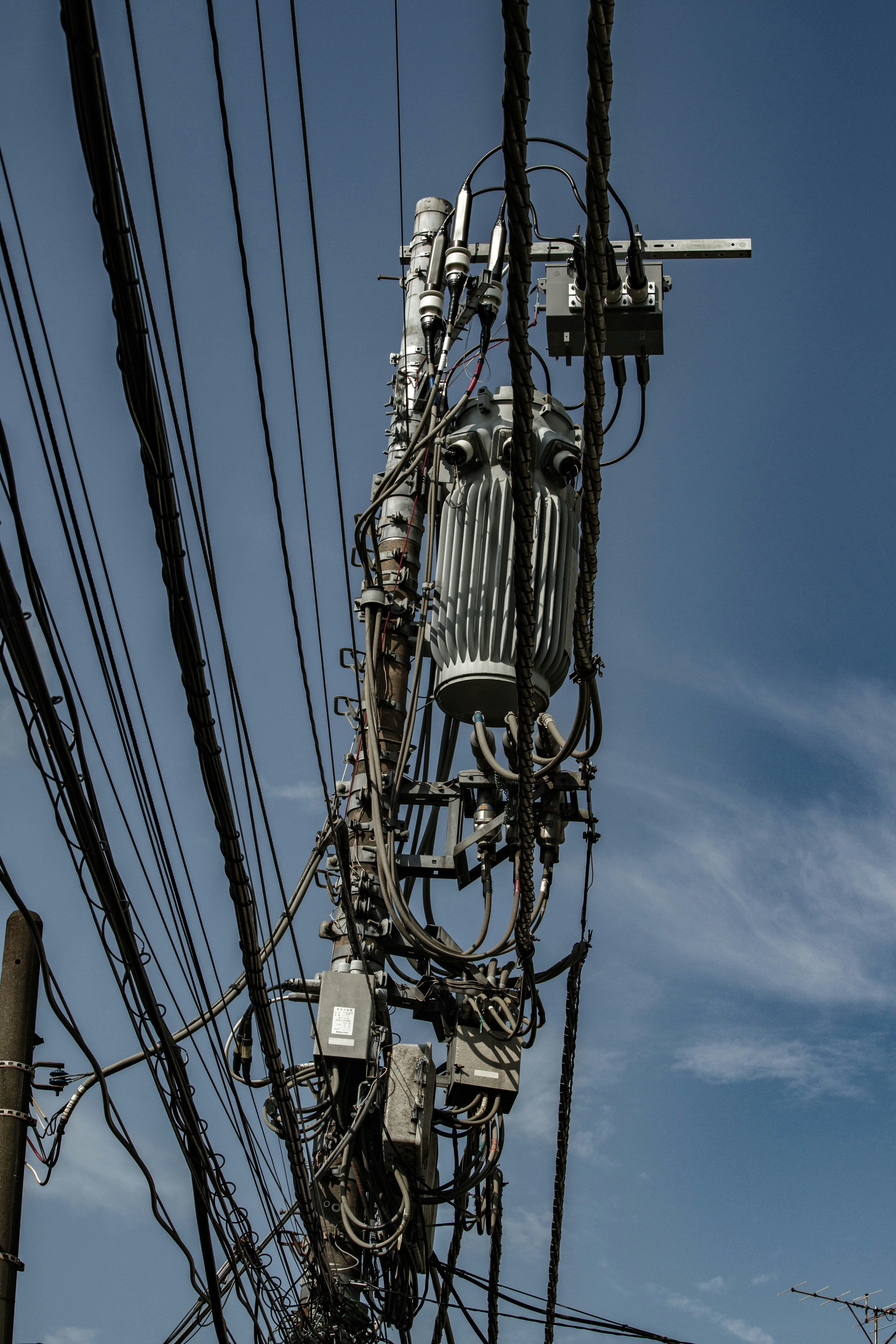 夏の電柱と電線が空に伸びる東京の街並みの一角