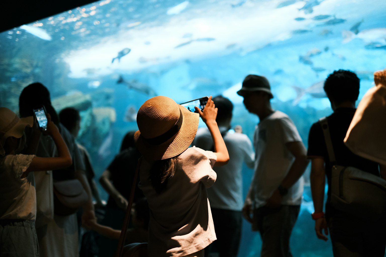Visitatori che osservano pesci in un acquario con un bambino che scatta una foto