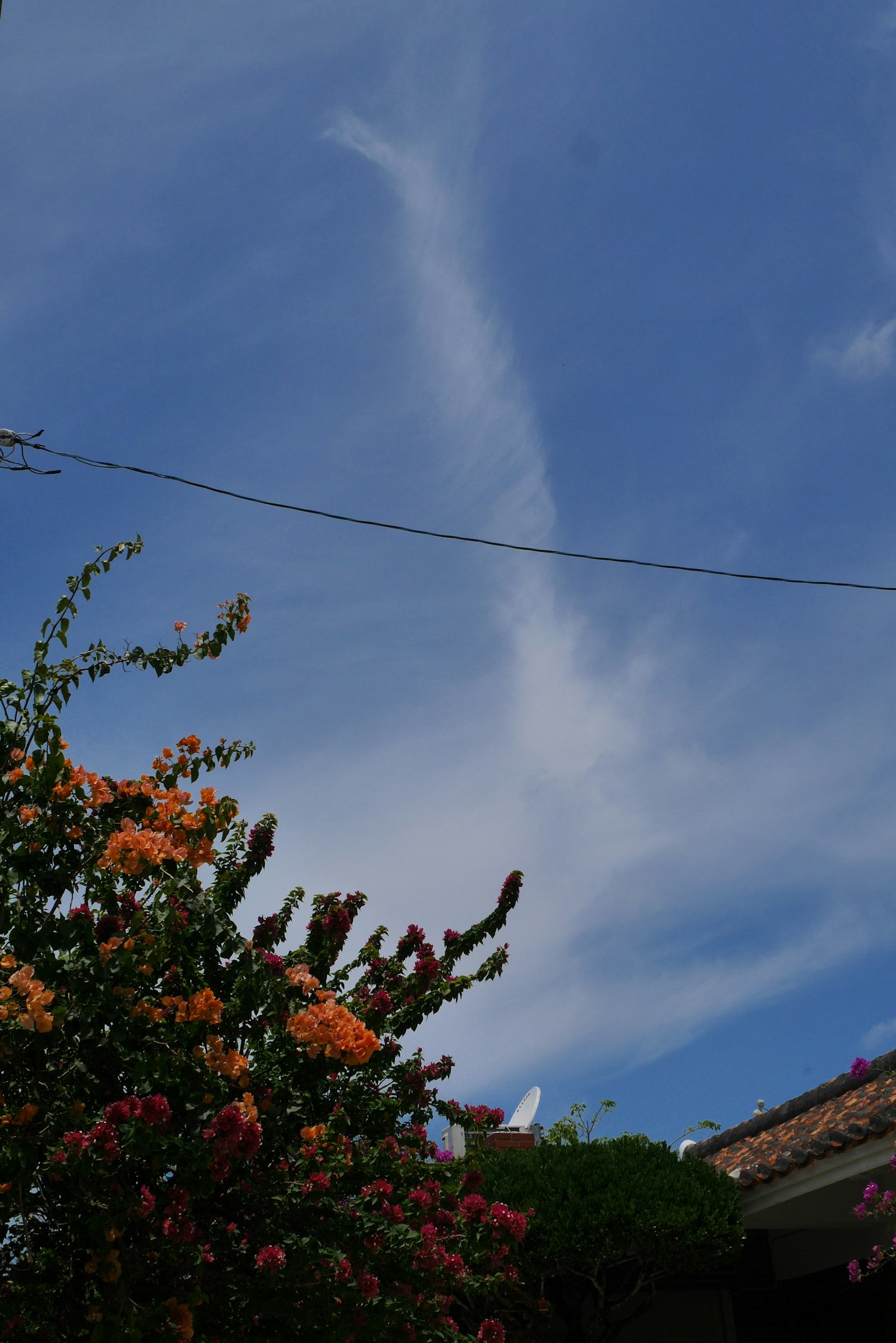 Langit biru cerah dengan awan putih di atas tanaman berbunga berwarna-warni di taman