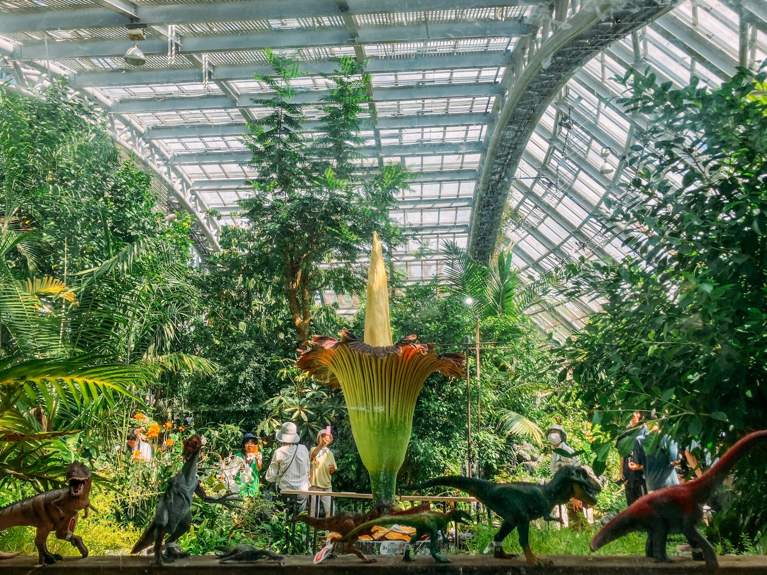 A large greenhouse featuring dinosaur models and lush plants