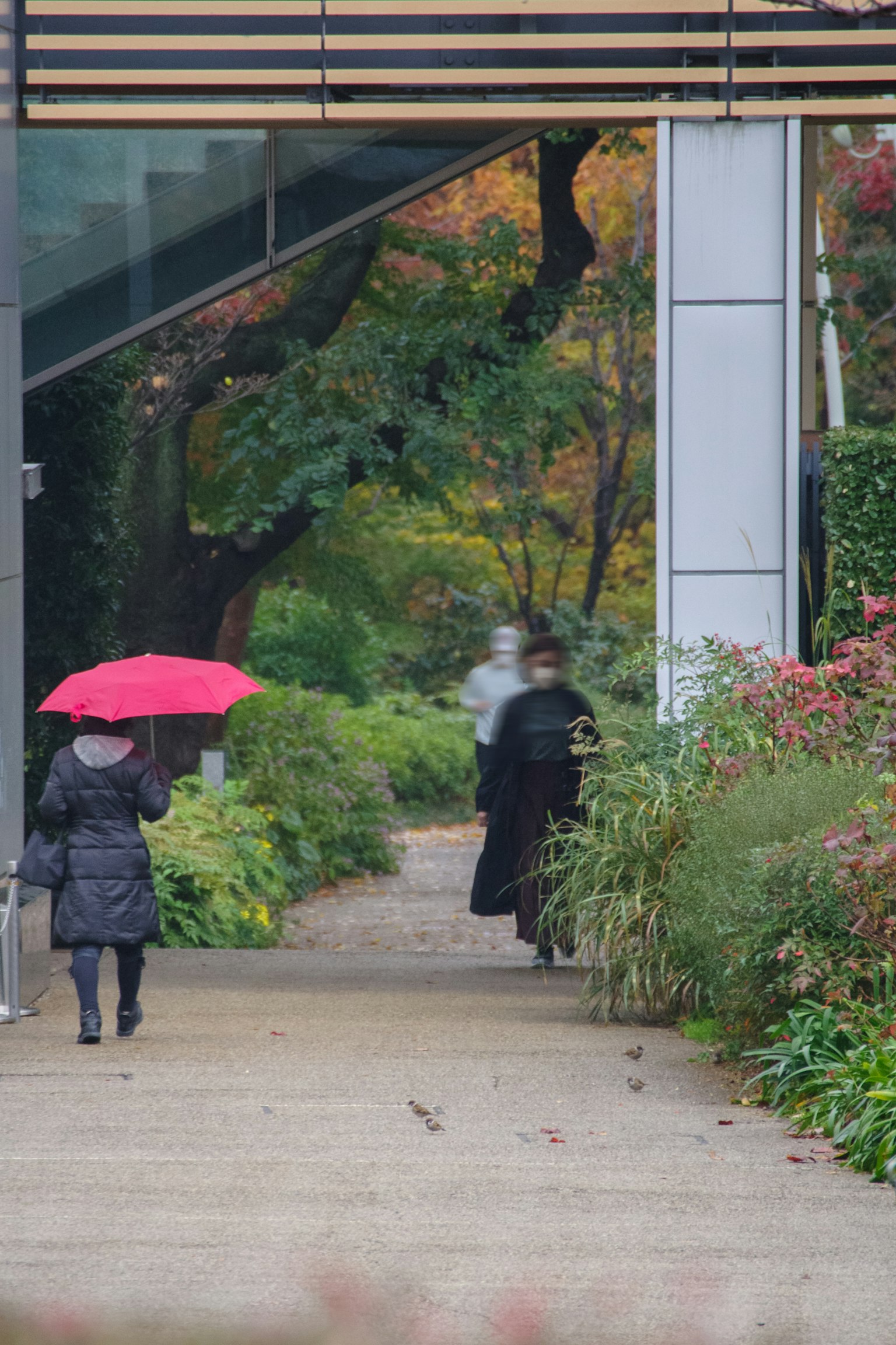 Una scena in un giardino con una donna che tiene un ombrello rosso e una figura in un cappotto nero che cammina