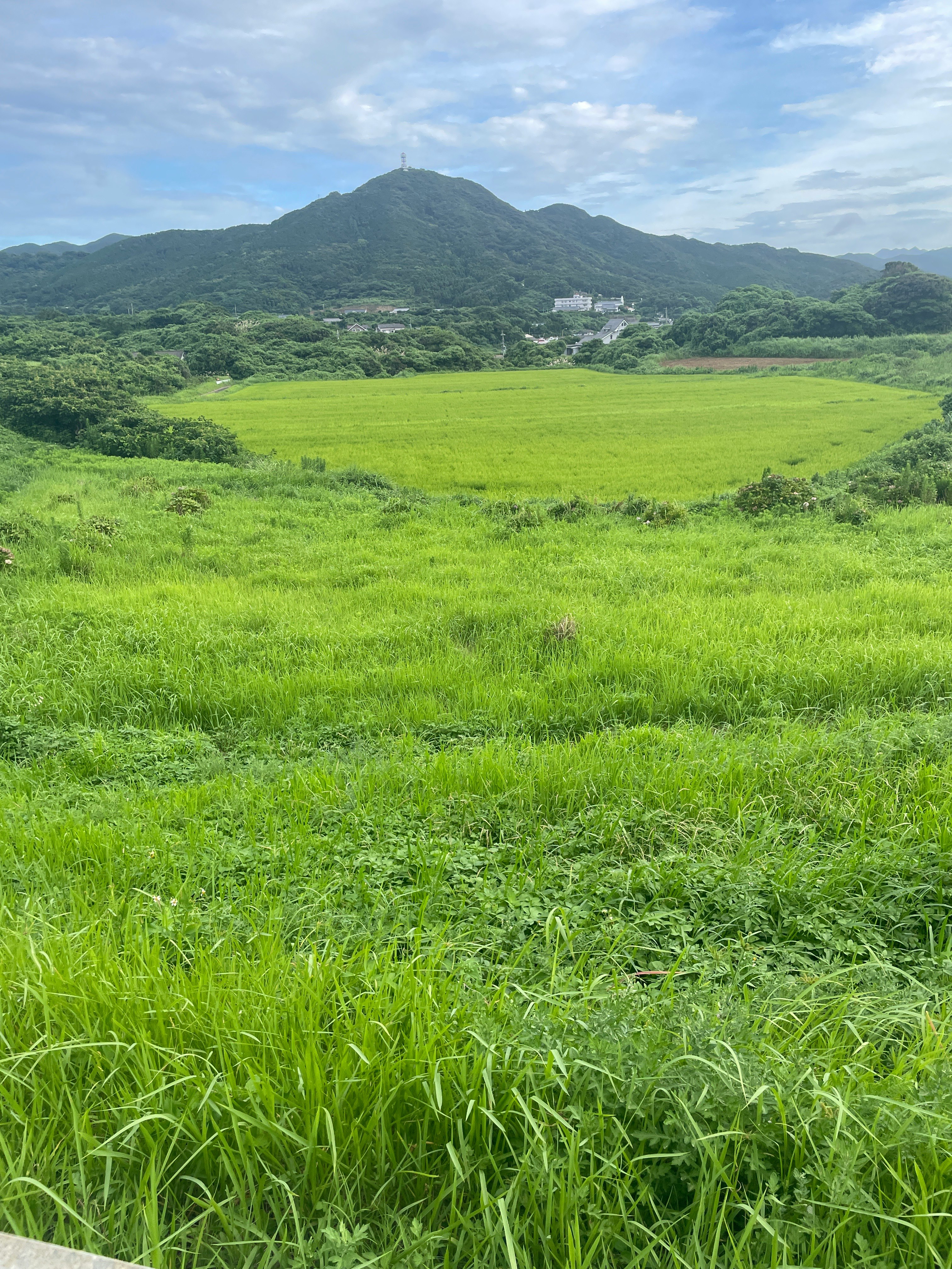 緑の草原と山並みが広がる自然風景