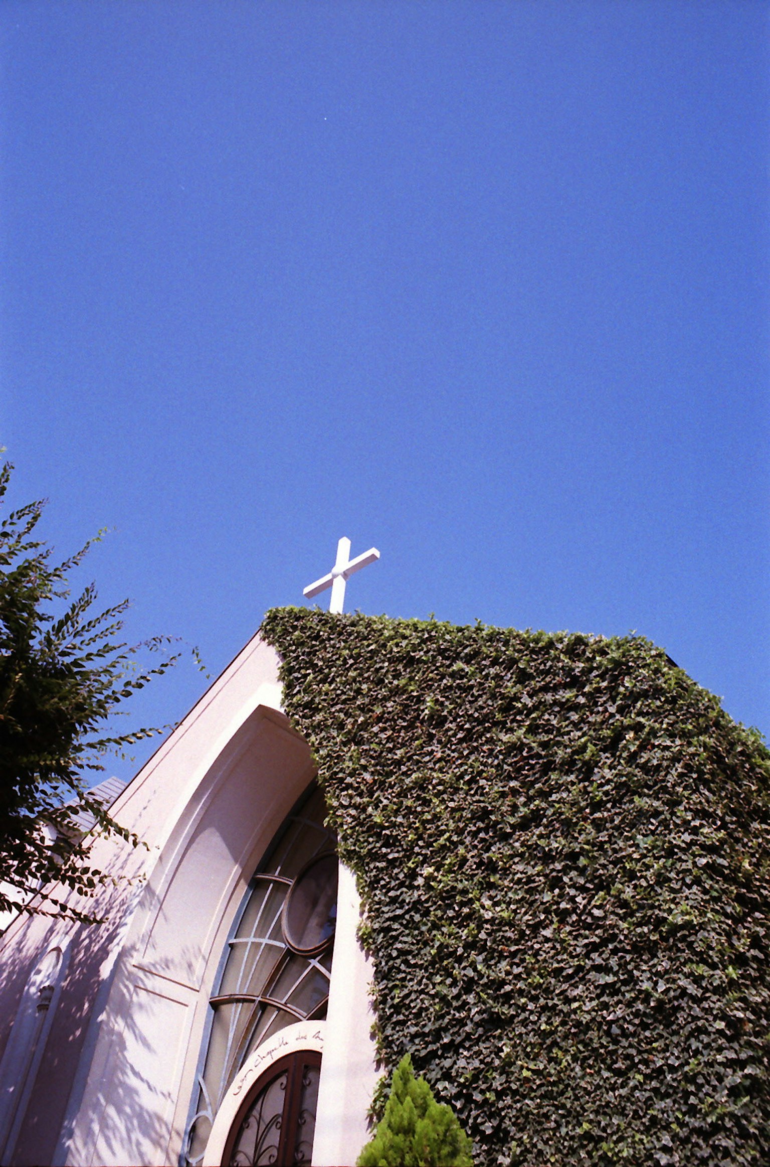 Church roof with a cross under a clear blue sky and green foliage