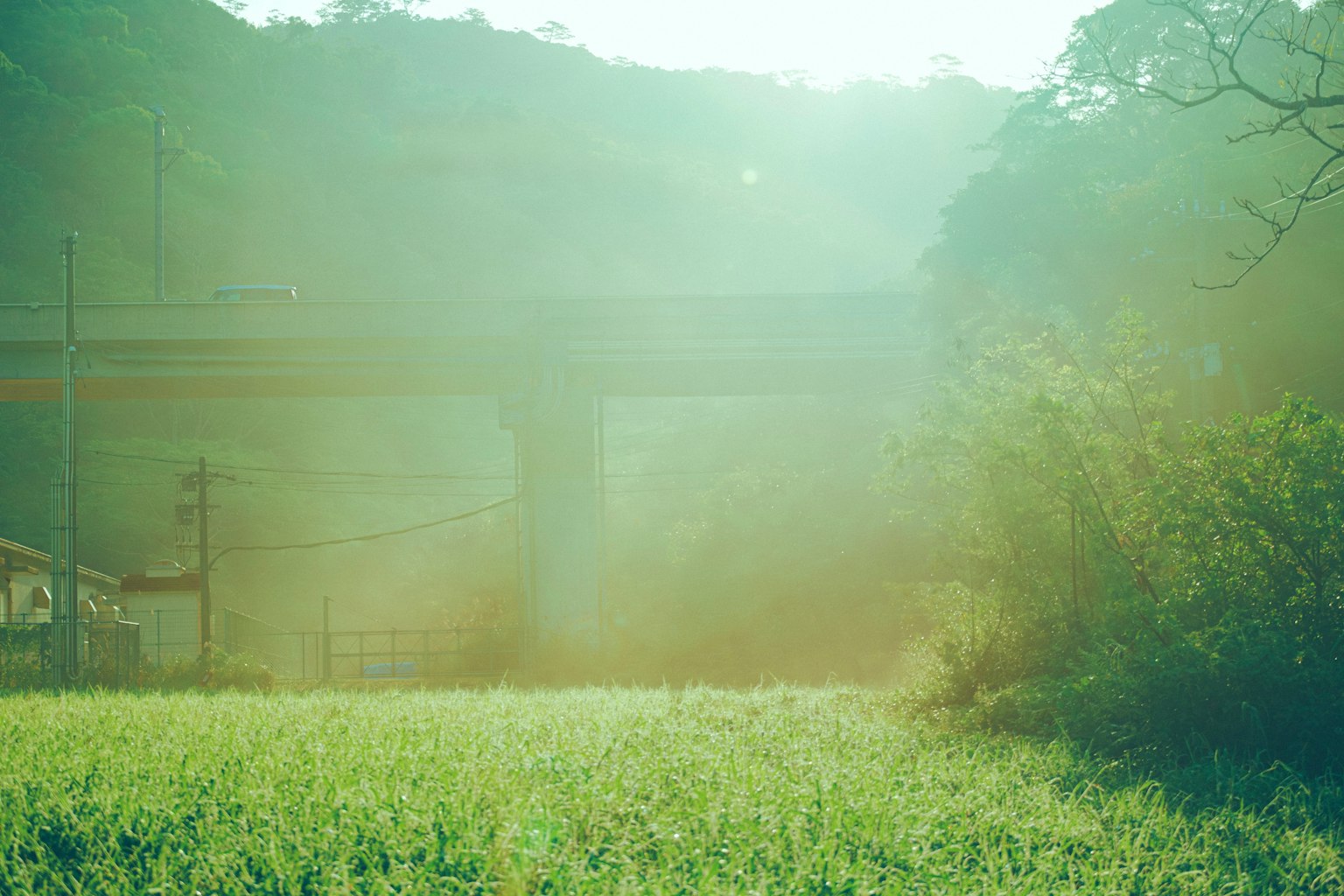 photo-HtjTPzoXAz9v2F7b4clw-image