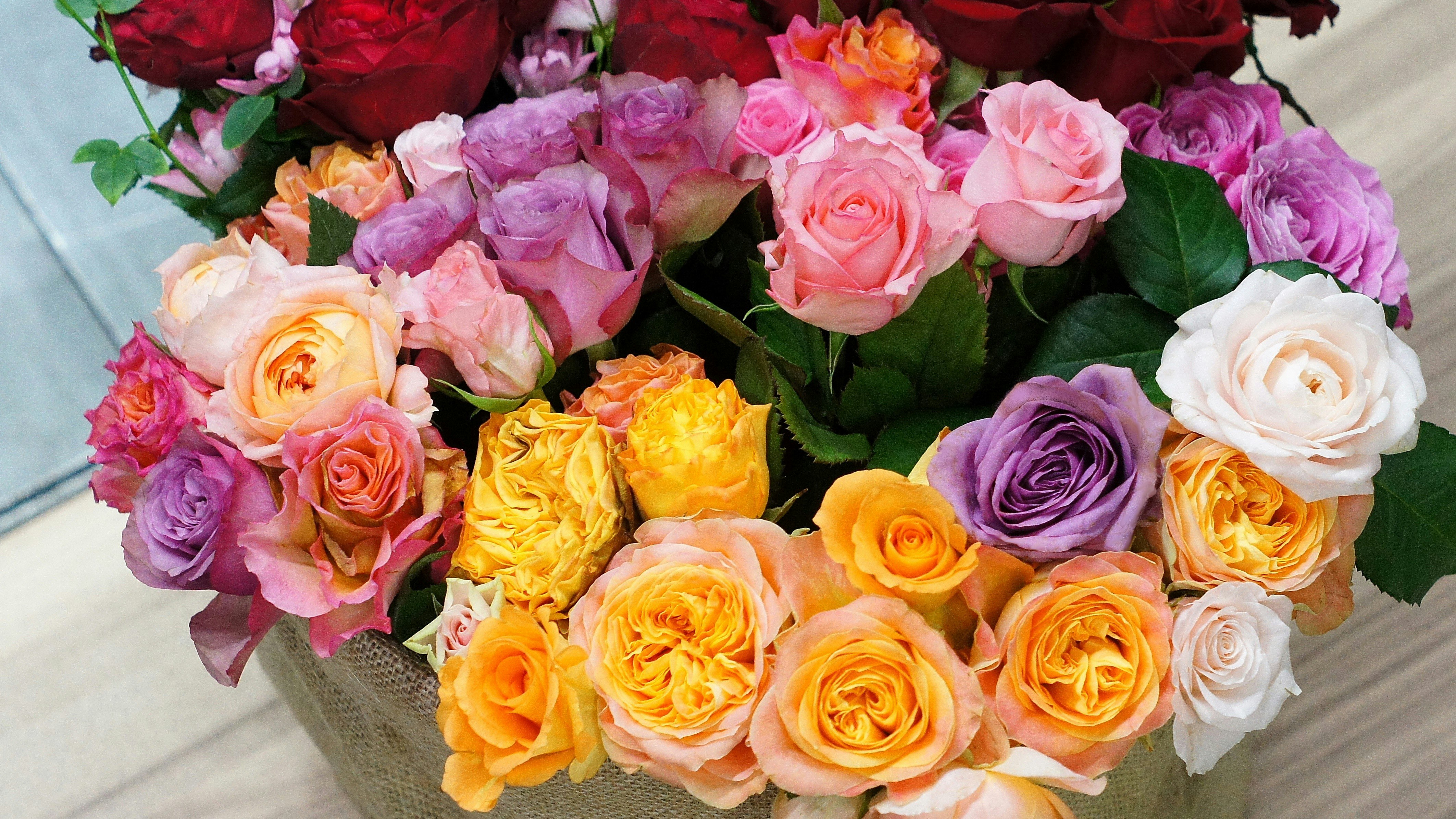 Bouquet of pink and orange roses